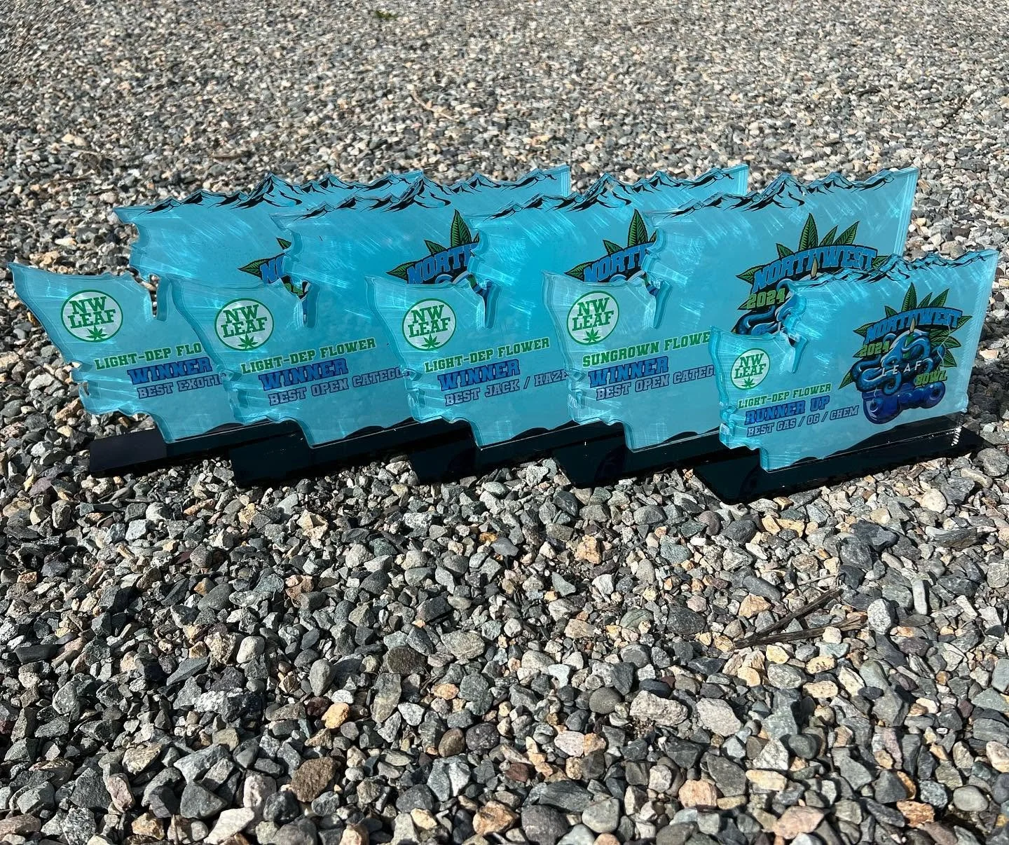471423408_18474846841032465_8435657992734437836_n.jpg