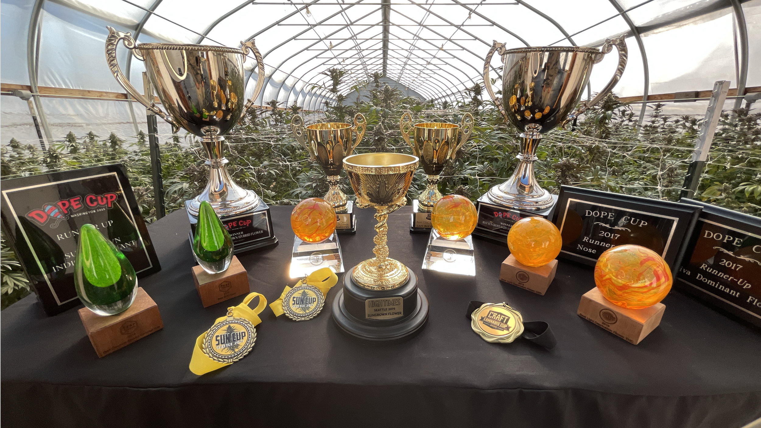 OldAwards.png