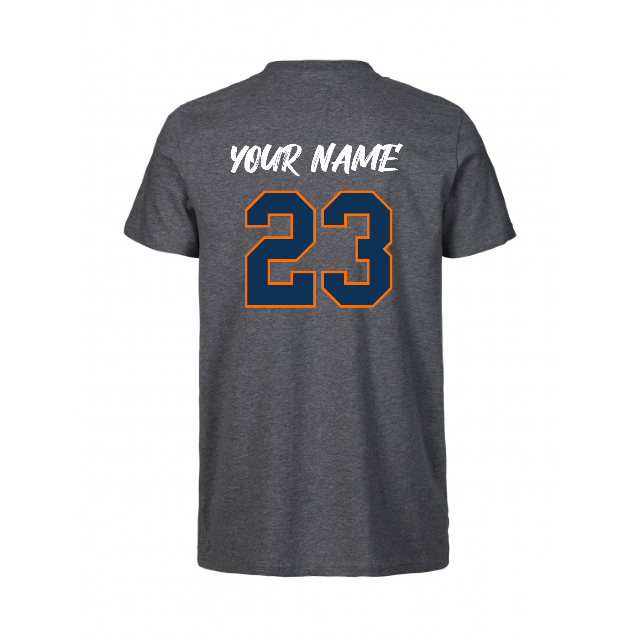 PCG T SHIRT GREY BACK.png