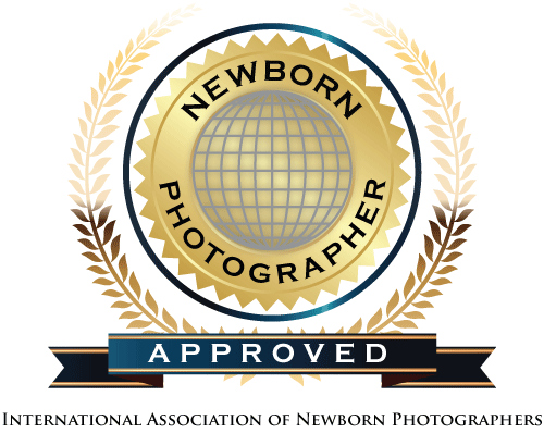 INP-logo.png