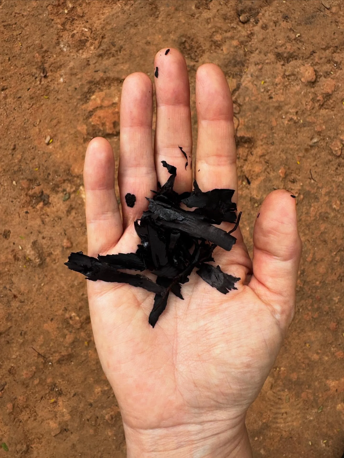 Ratanjot - Alkanna tinctoria or dyers alkanet.
I haven't worked with this dye. Banu soaks the root overnight and then uses it as a light grey dye. I have read that soaking in alcohol helps to release the purple colourant - I got raised eyebrows after