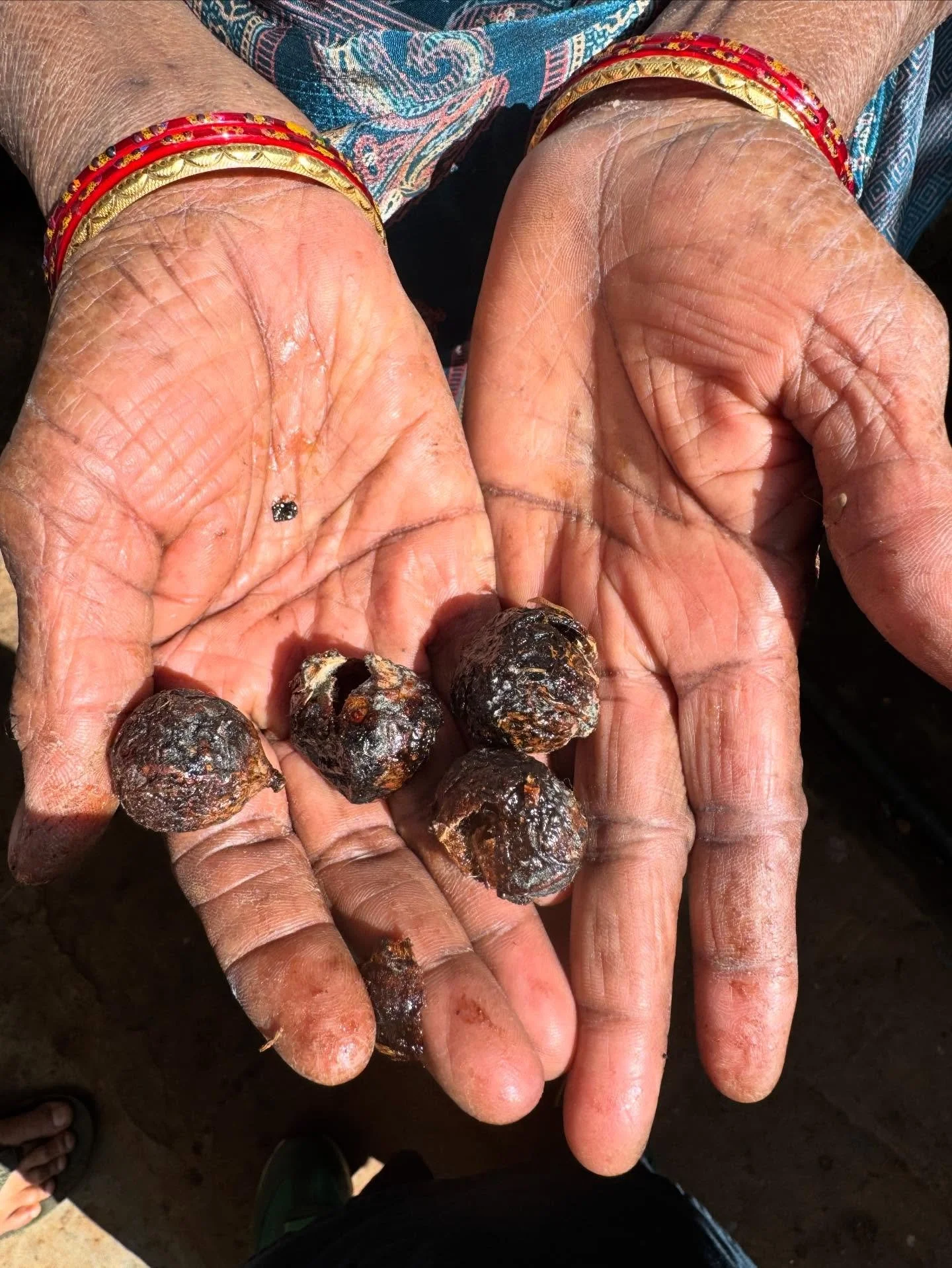 Reetha &ndash; Soapnut - Sapindus Mukorossi 
The shell is used in small quantities  and added to hot water to scour fabric prior to dyeing or printing. A gentler plant based alternative to other scouring agents or soda ash.