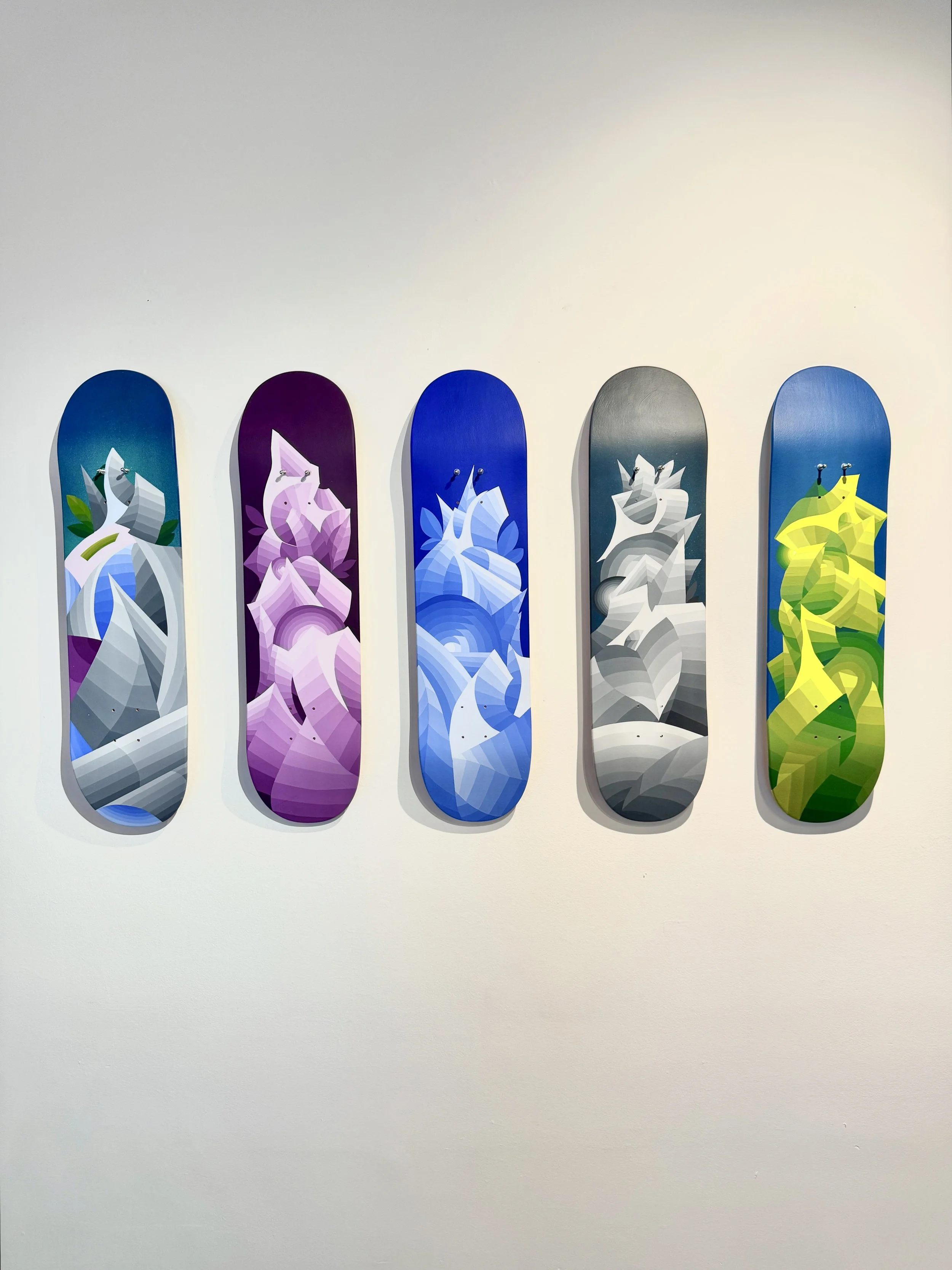 SKATE DECKS 1 .jpg