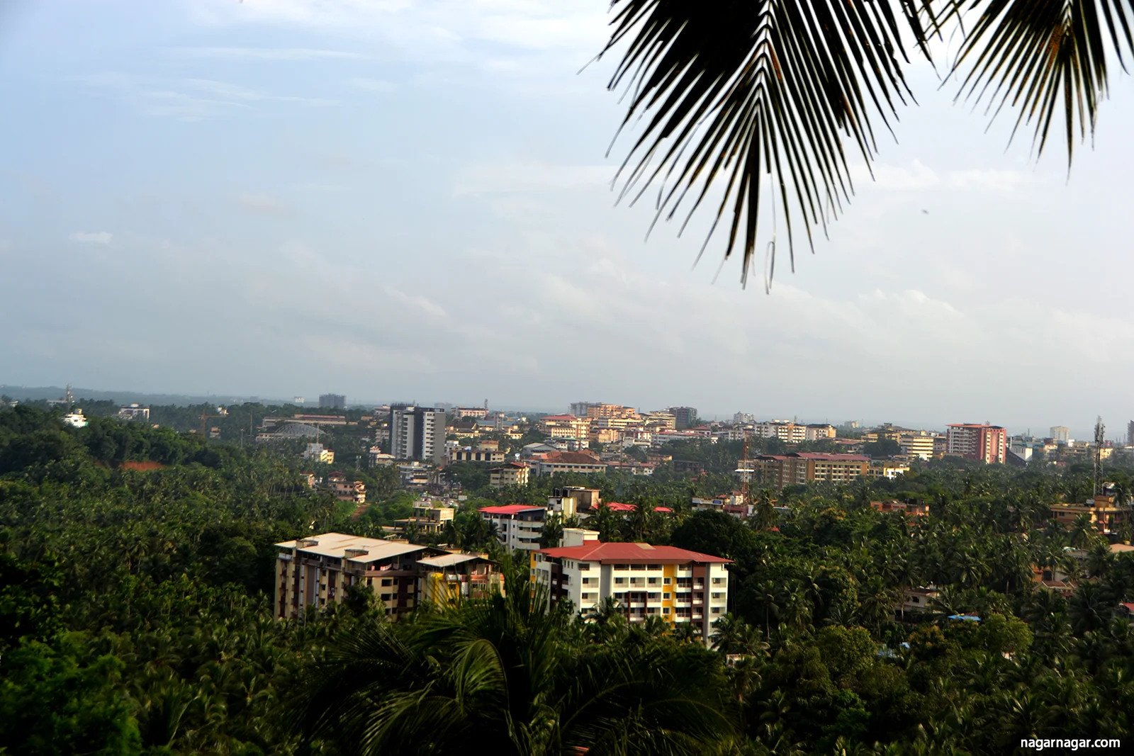Mangalore Files