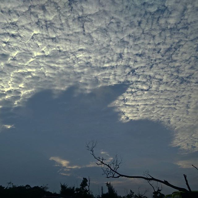 Cracking the clouds

#nagarnagar #skyscapes #onetree #blueskies #clouds #natgeomoments #bayofbengal #reachup #lookup #sky