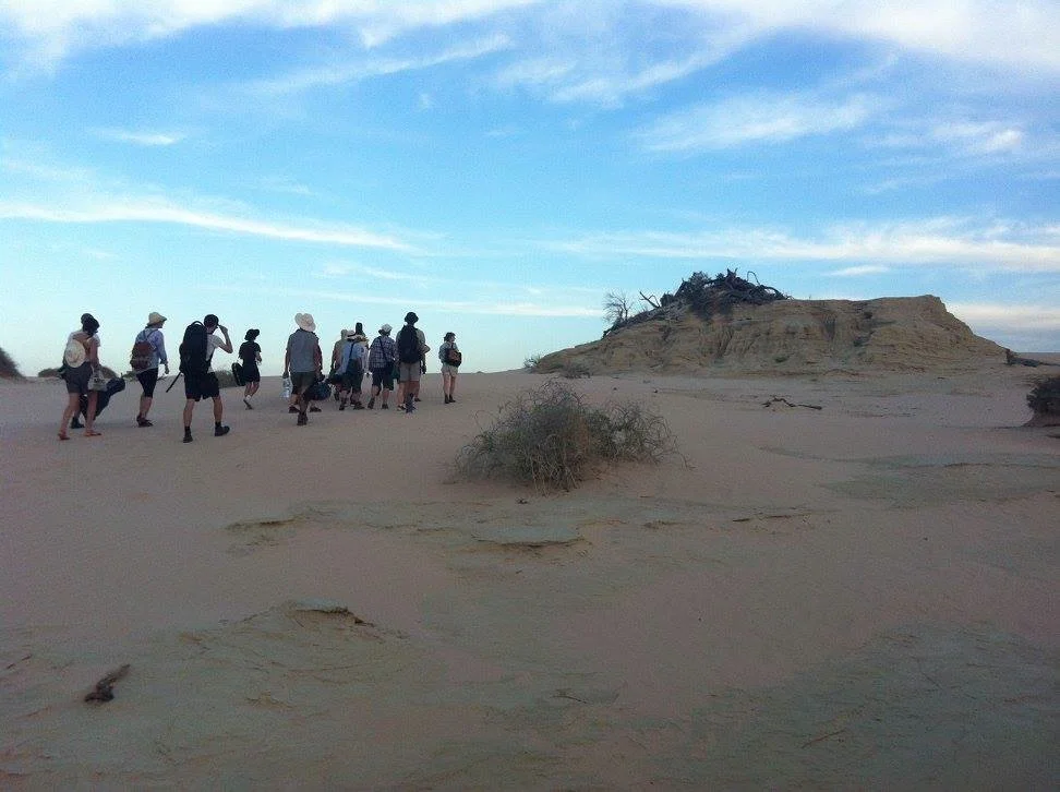 Dune Orchestra 3.jpg