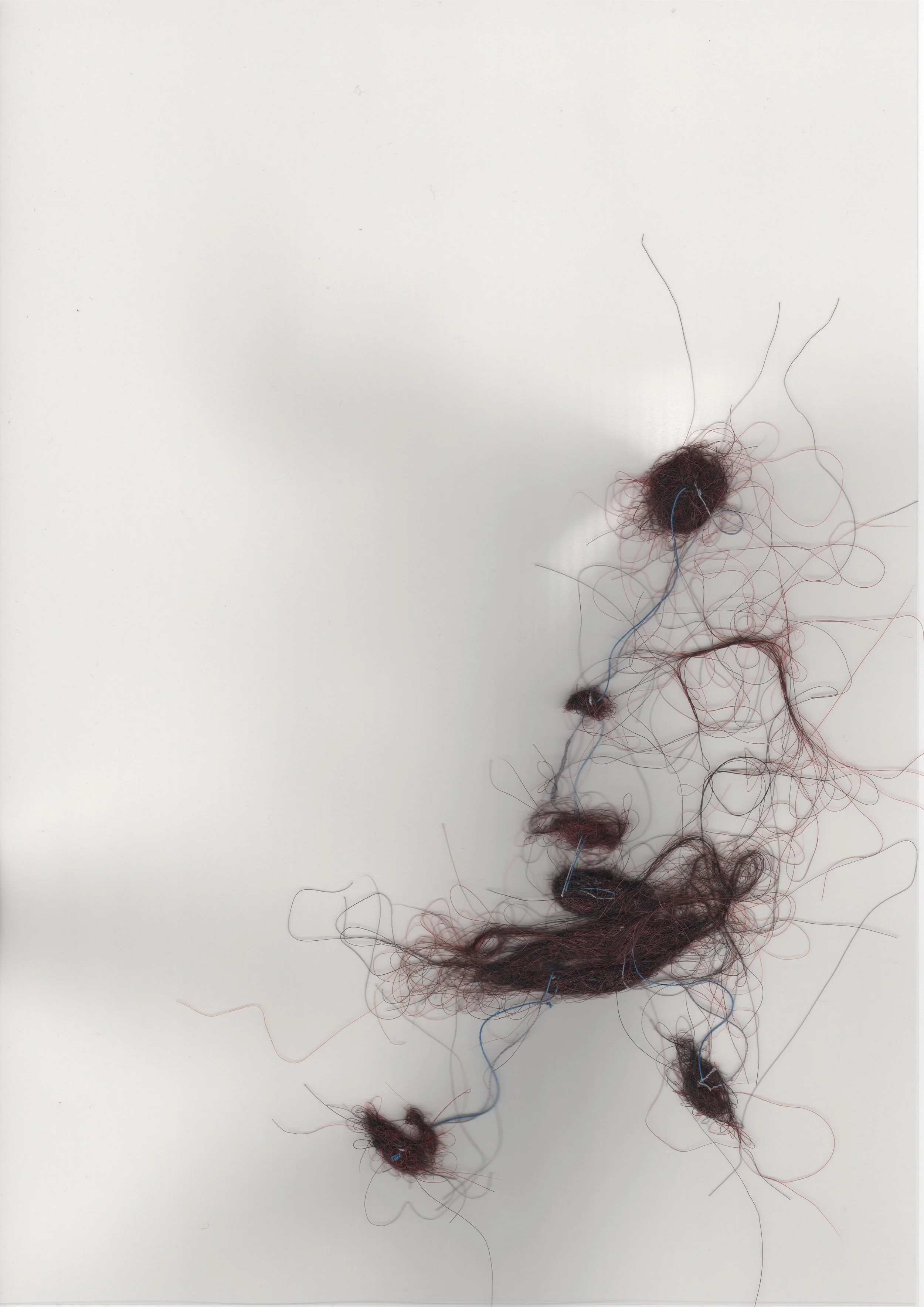 t h e s u b t l e b e i n g s @ Articulate project space