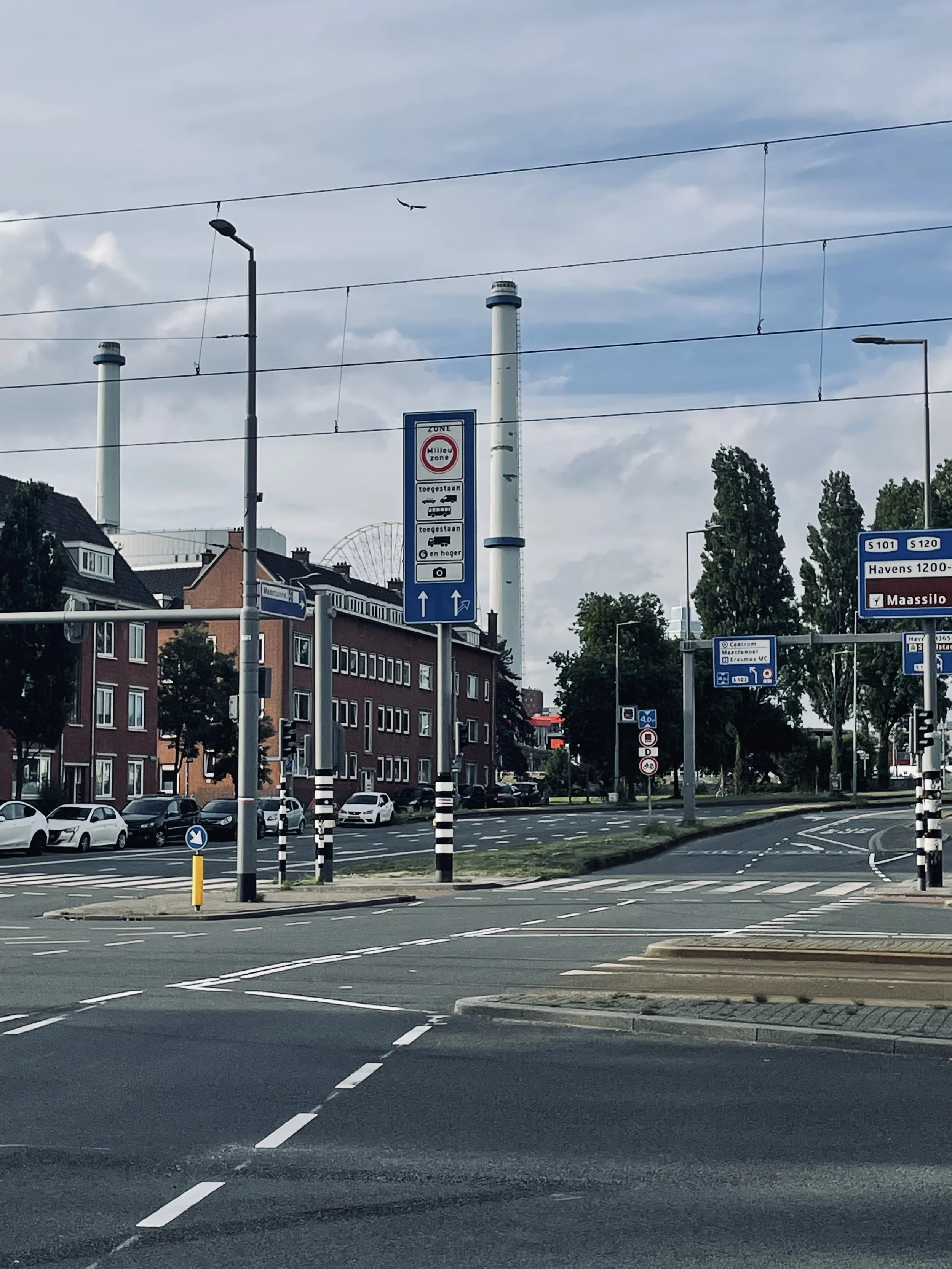 IMG_8444.jpeg