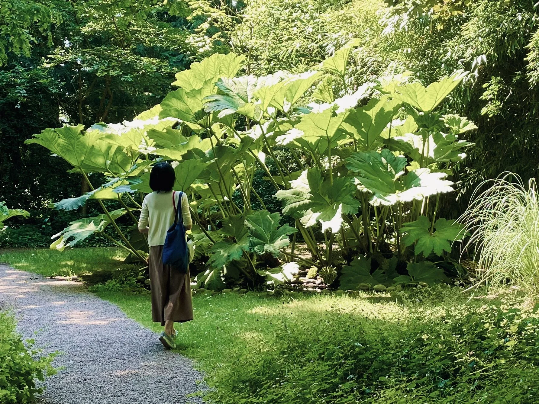 HIEW Miow Yein in a 'secret' garden