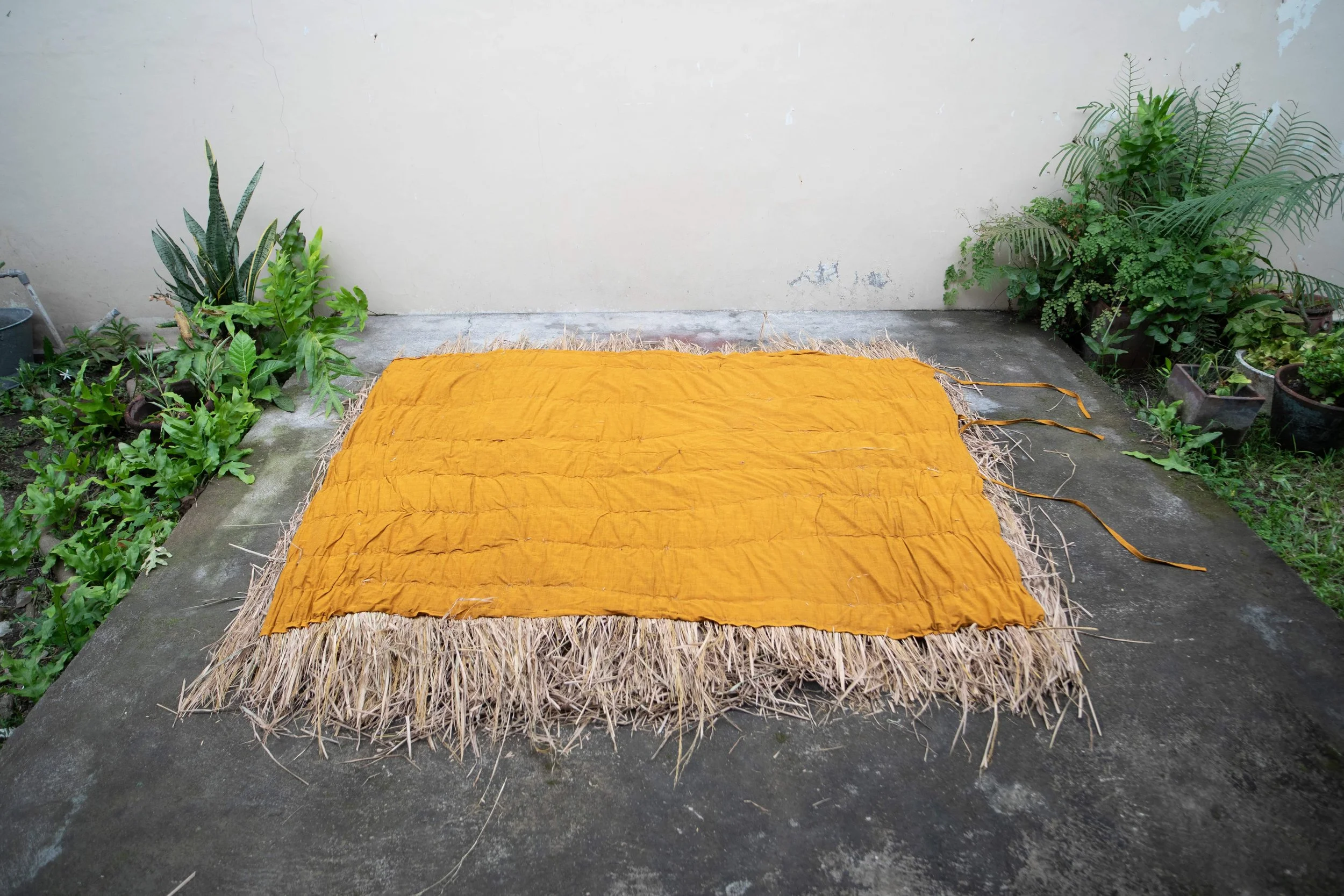 9 Januari 26_-17.jpeg