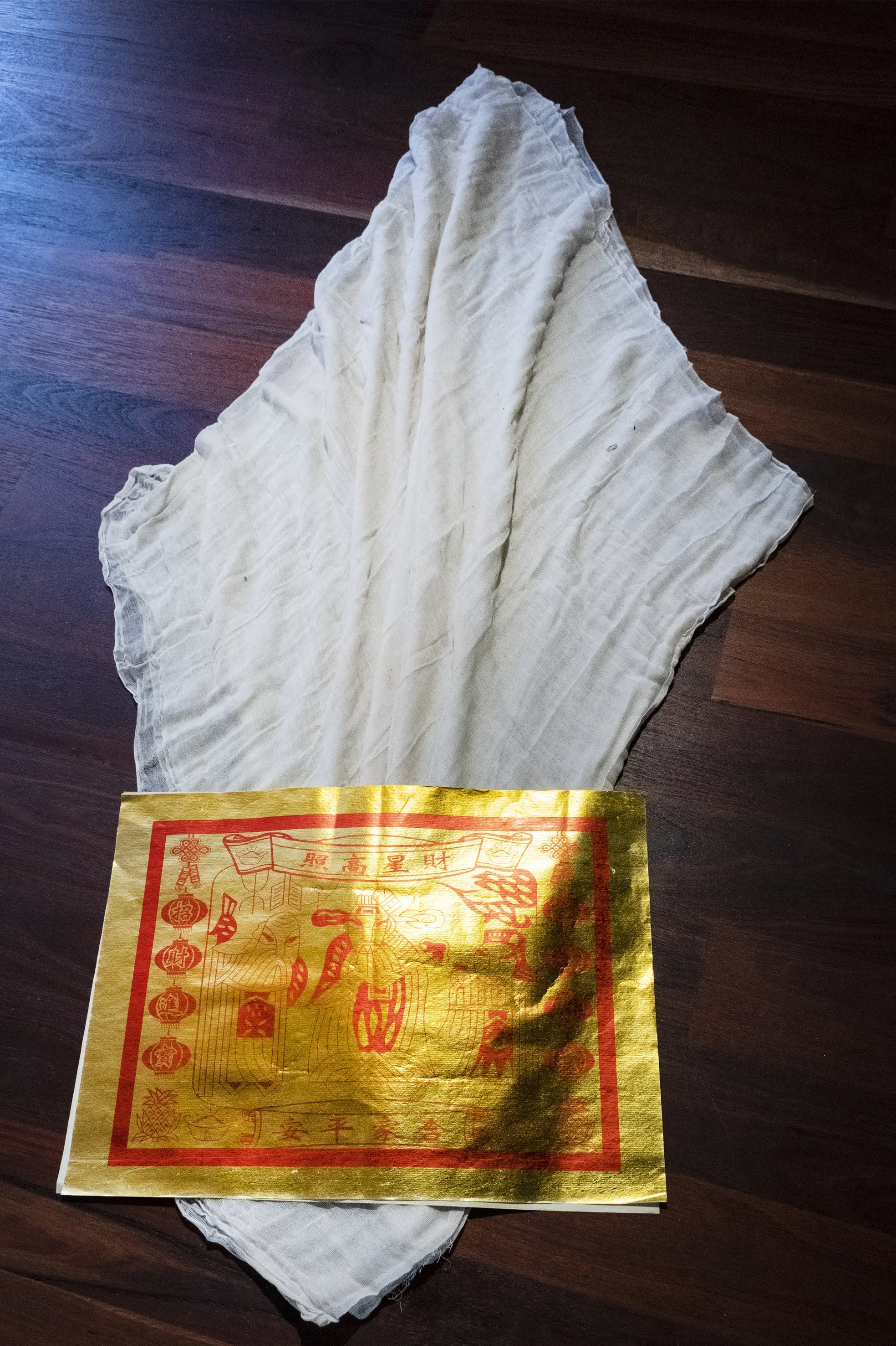 Copy of DSCF0222 copy.jpg