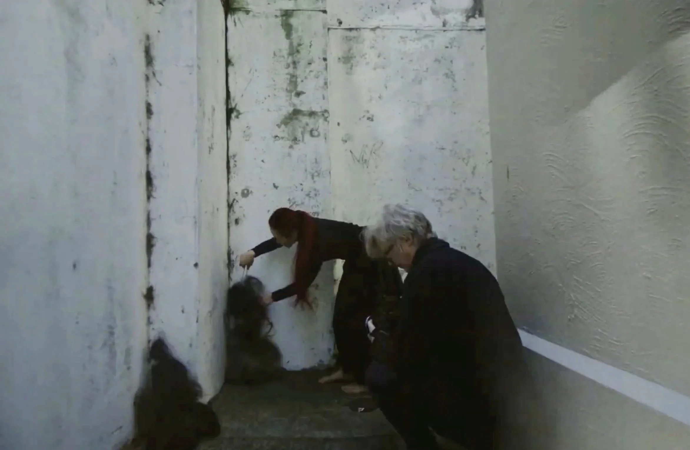 Screen Grab Image by Sam James; Bodies, Horsehair, Calipers; Corner of RC Mill Fine Arts Building and Tennis Lawns, Uni of Syd