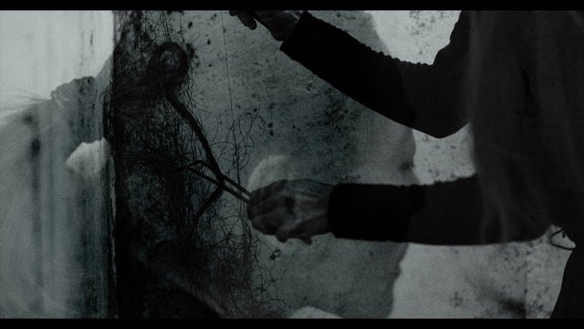 Convergences Screening still2 116Kb.jpg