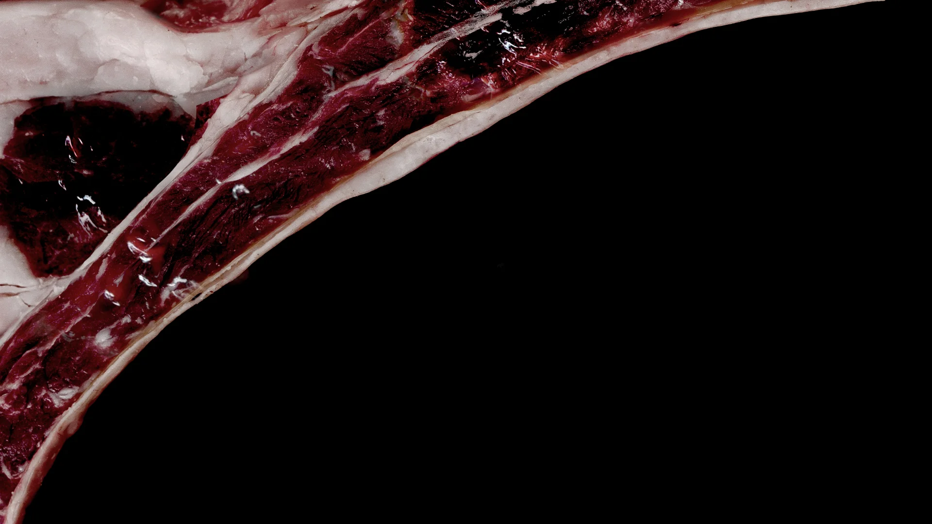 Extraterrestrial 2.jpg