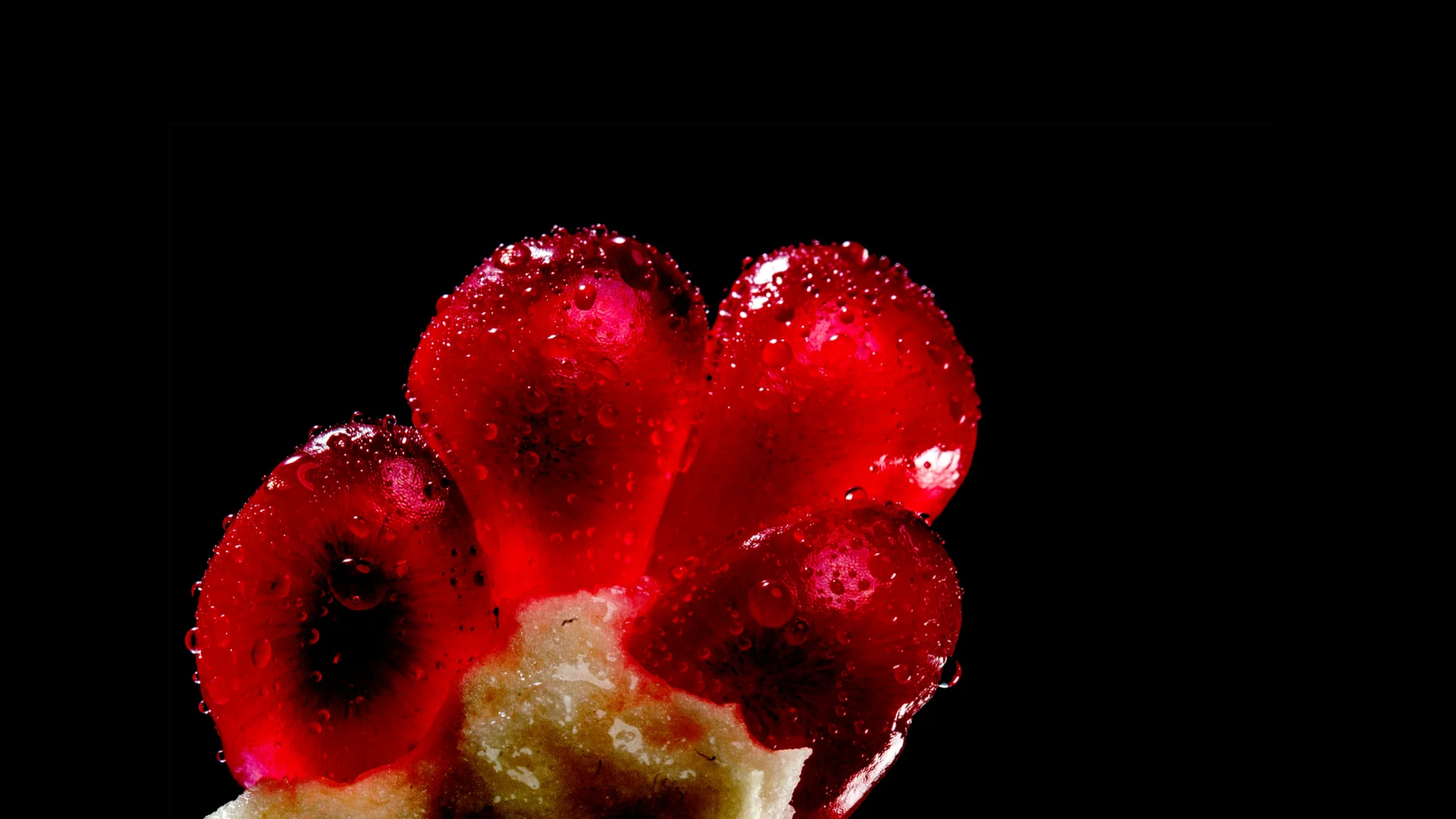 Extraterrestrial 4.jpg