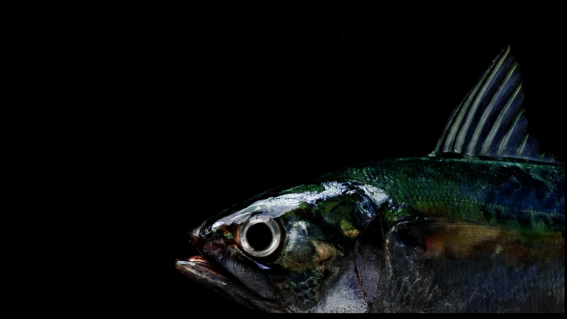 Extraterrestrial 5.jpg