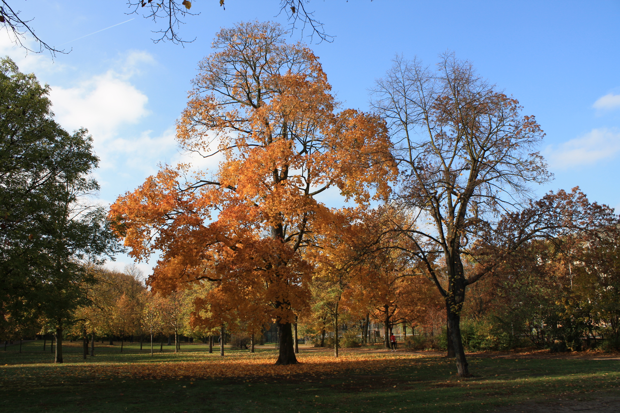 Restaurant Schoenbrunn | Volkspark Friedrichshain, Berlin