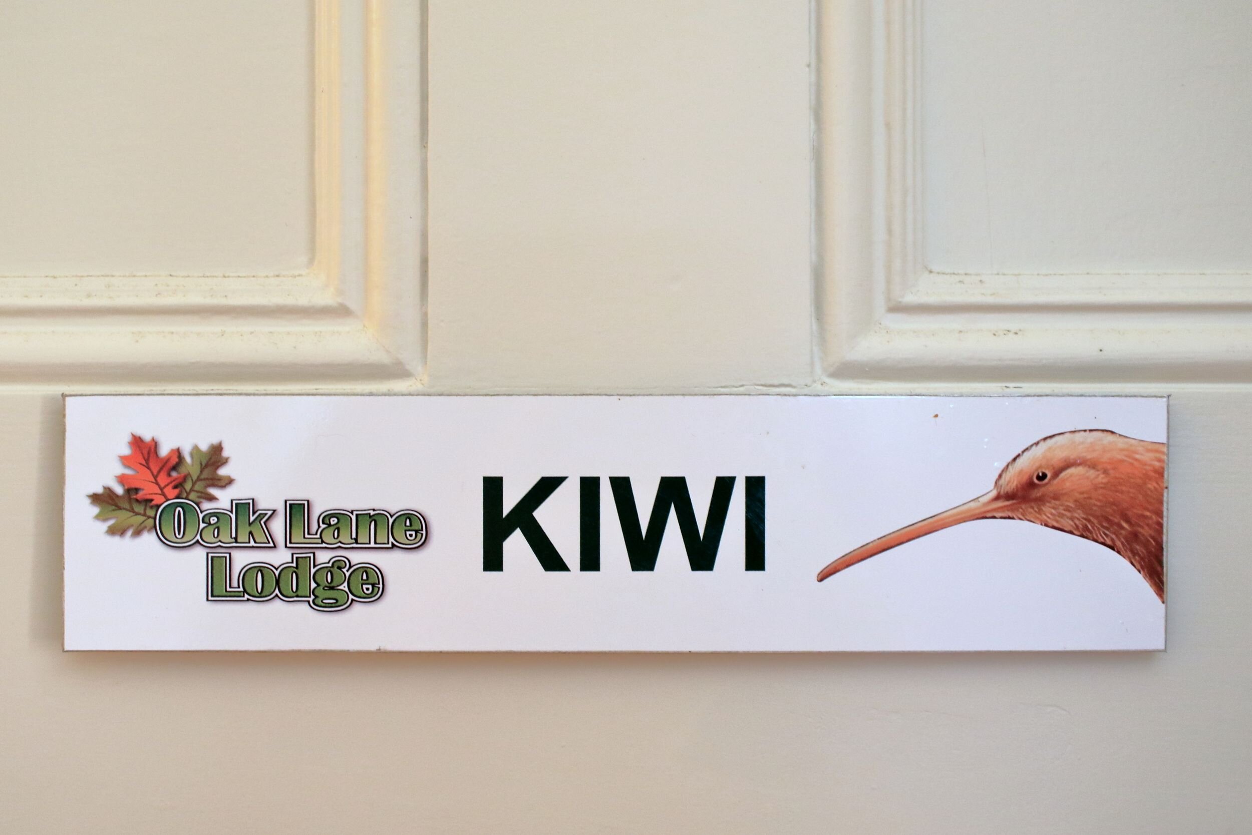 Kiwi room.jpg
