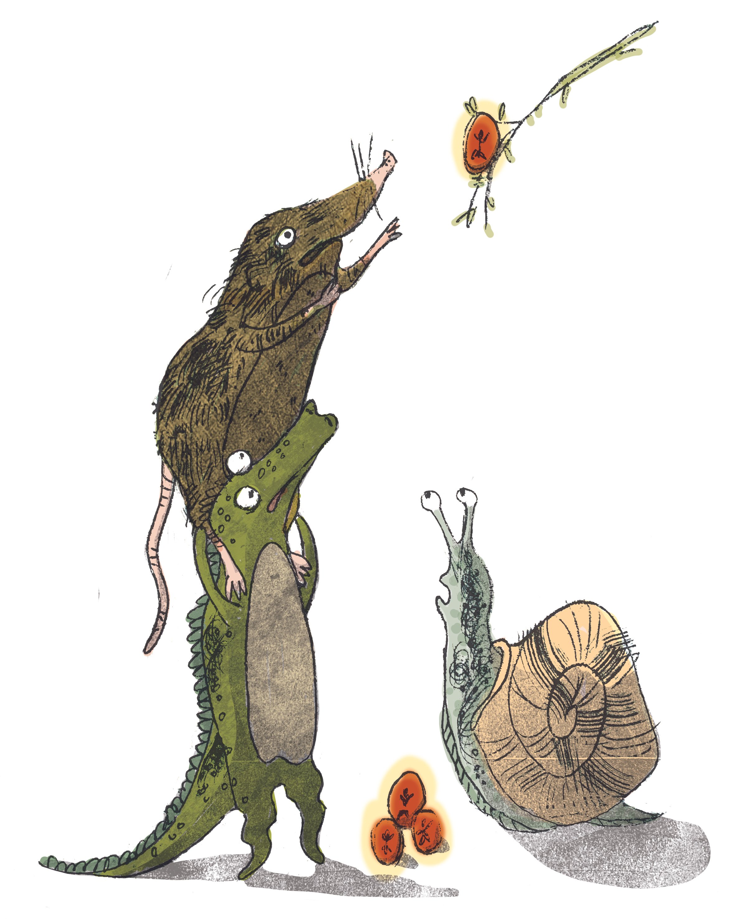 lizard 6 with tetra pack flat.jpg