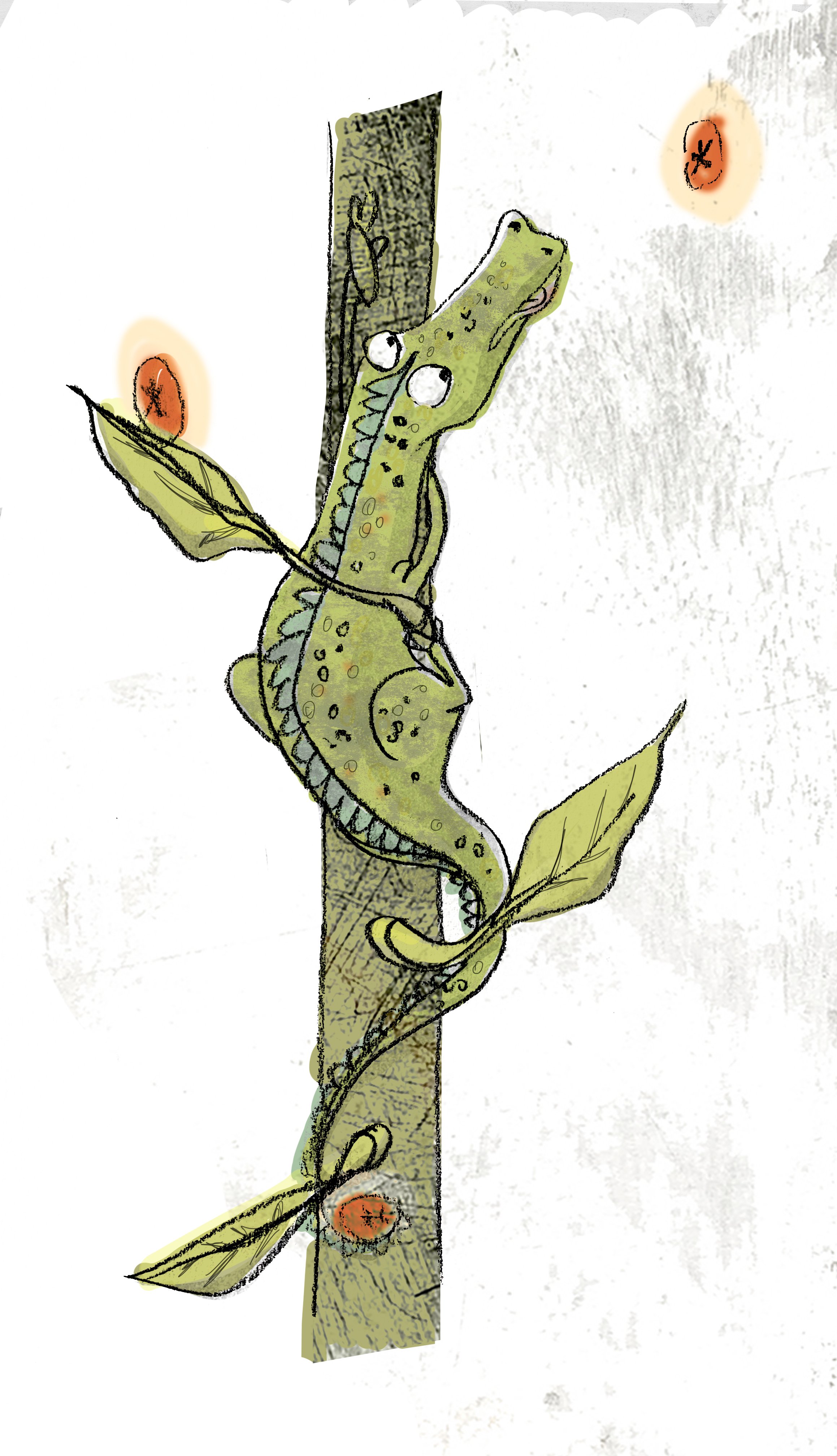lizard 2.jpg