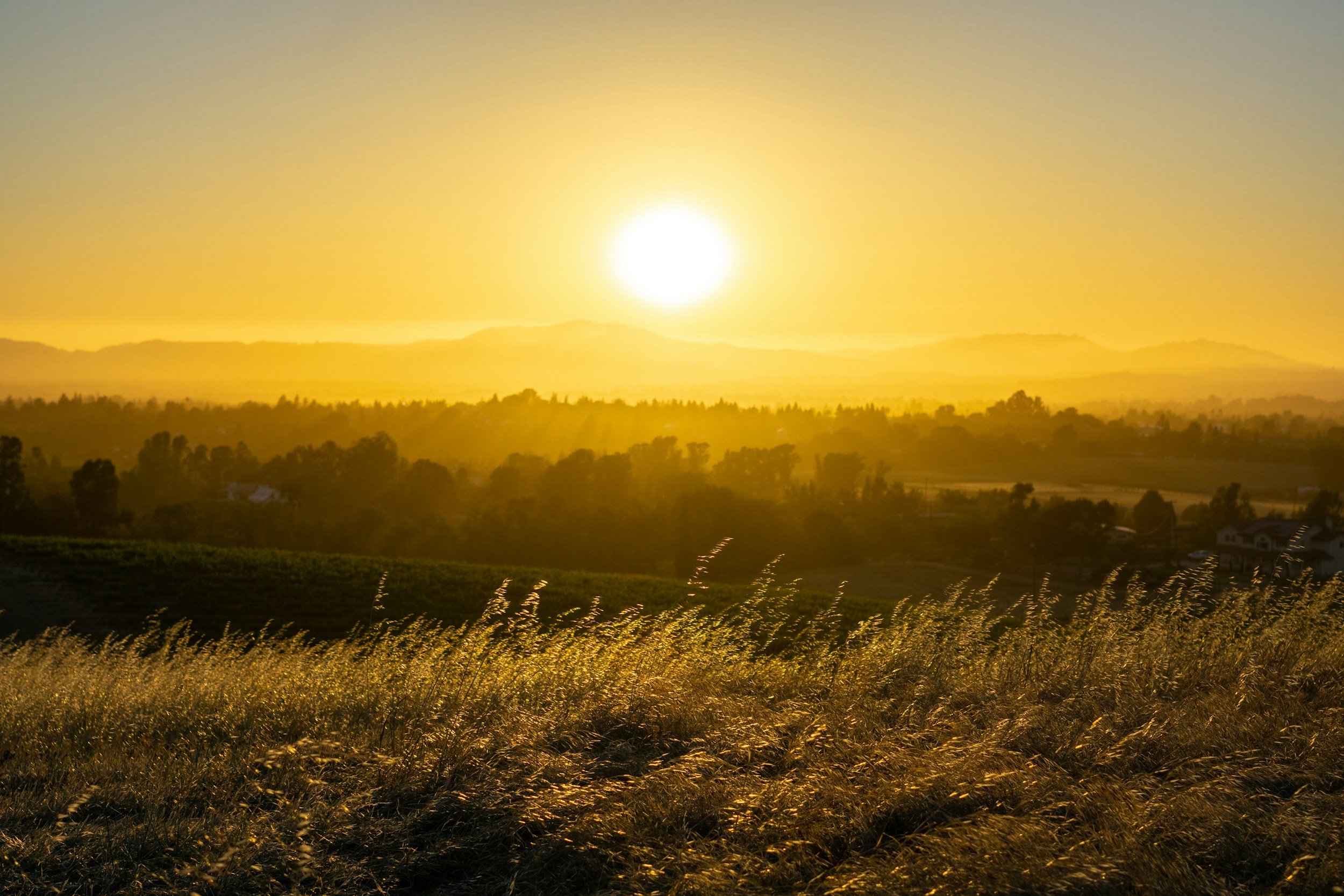 Sonnenuntergang über einer ländlichen Landschaft mit Hügeln, Feldern und Bäumen, die in goldenem Licht erstrahlen.