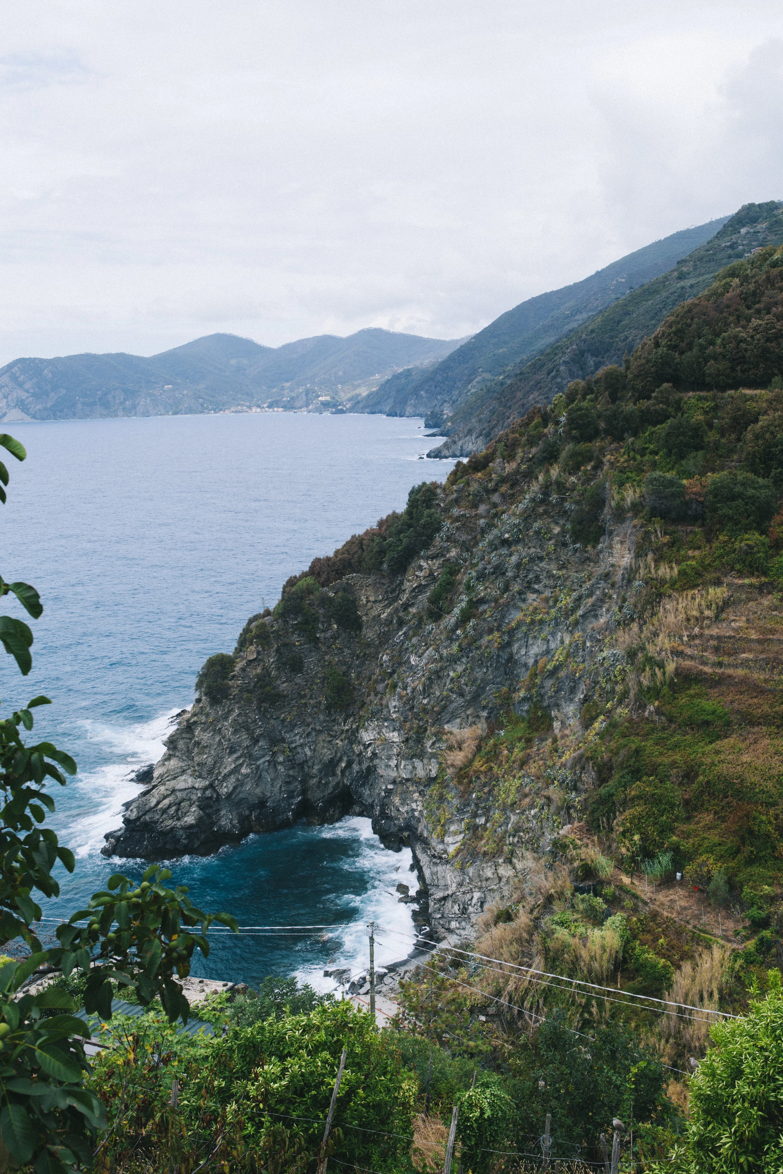 Corniglia_2273.jpg