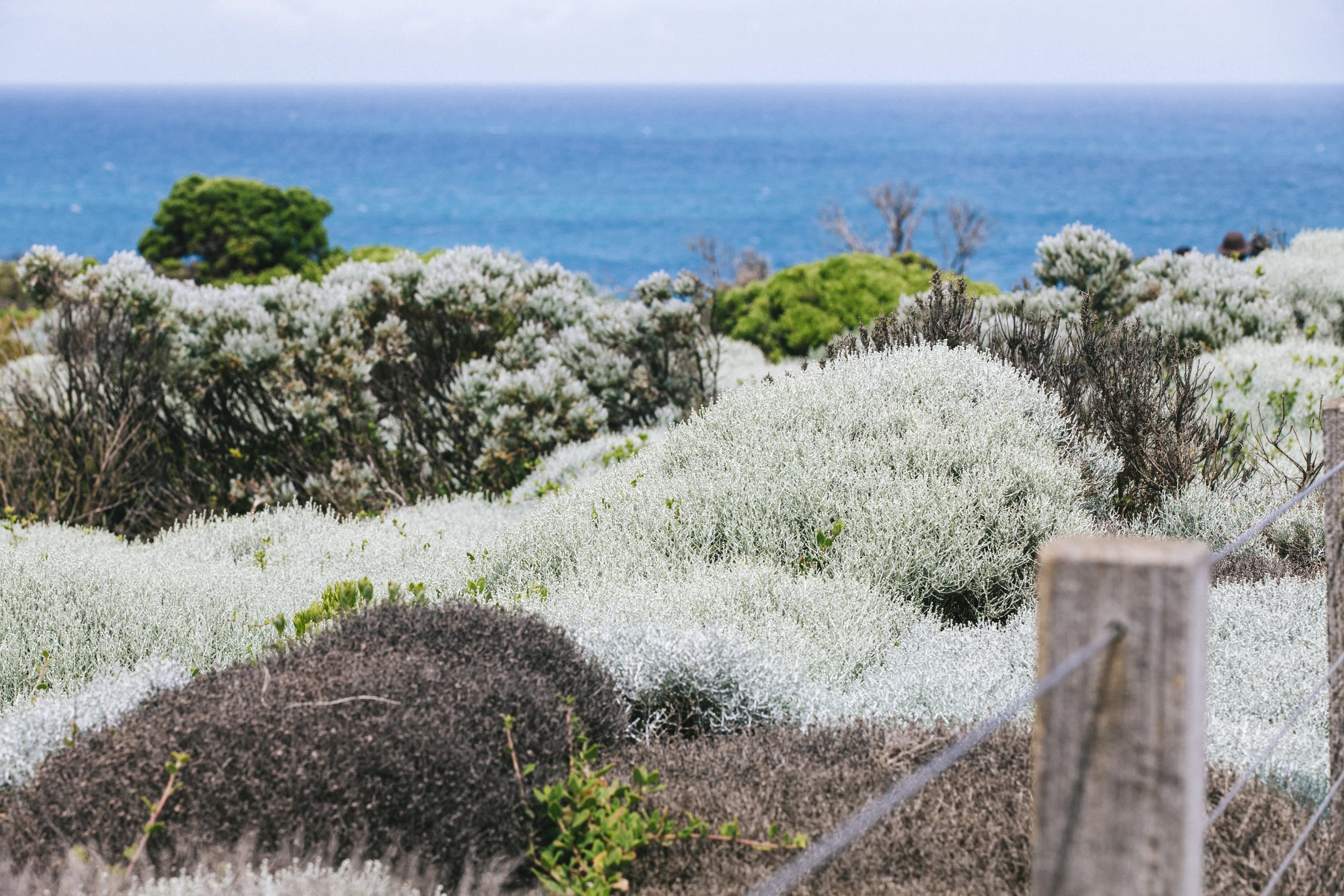 GreatOceanRoad_7061.jpg