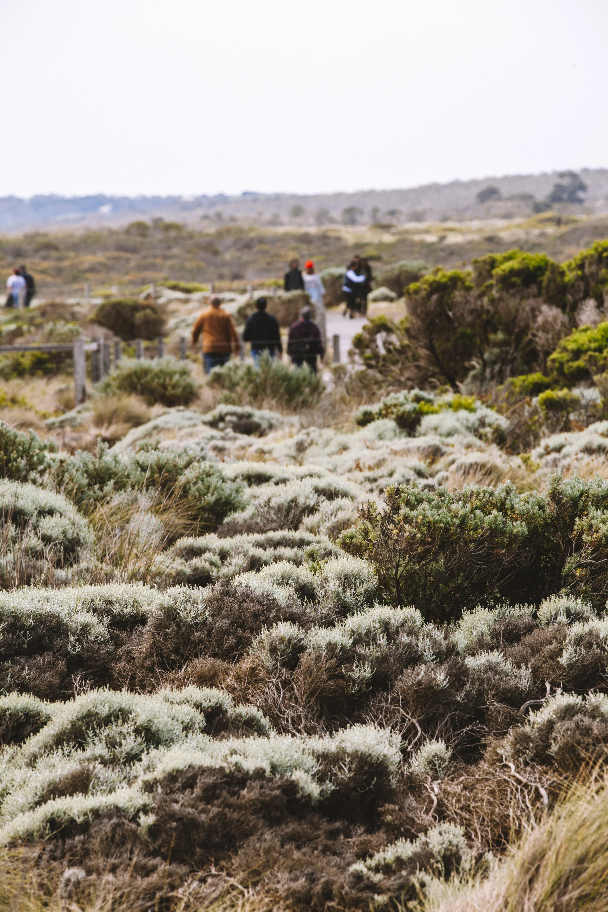 GreatOceanRoad_7139.jpg