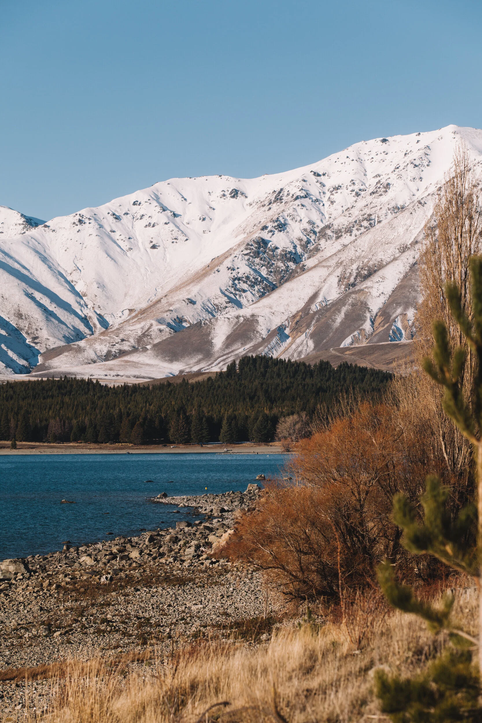 New Zealand-4121.jpg