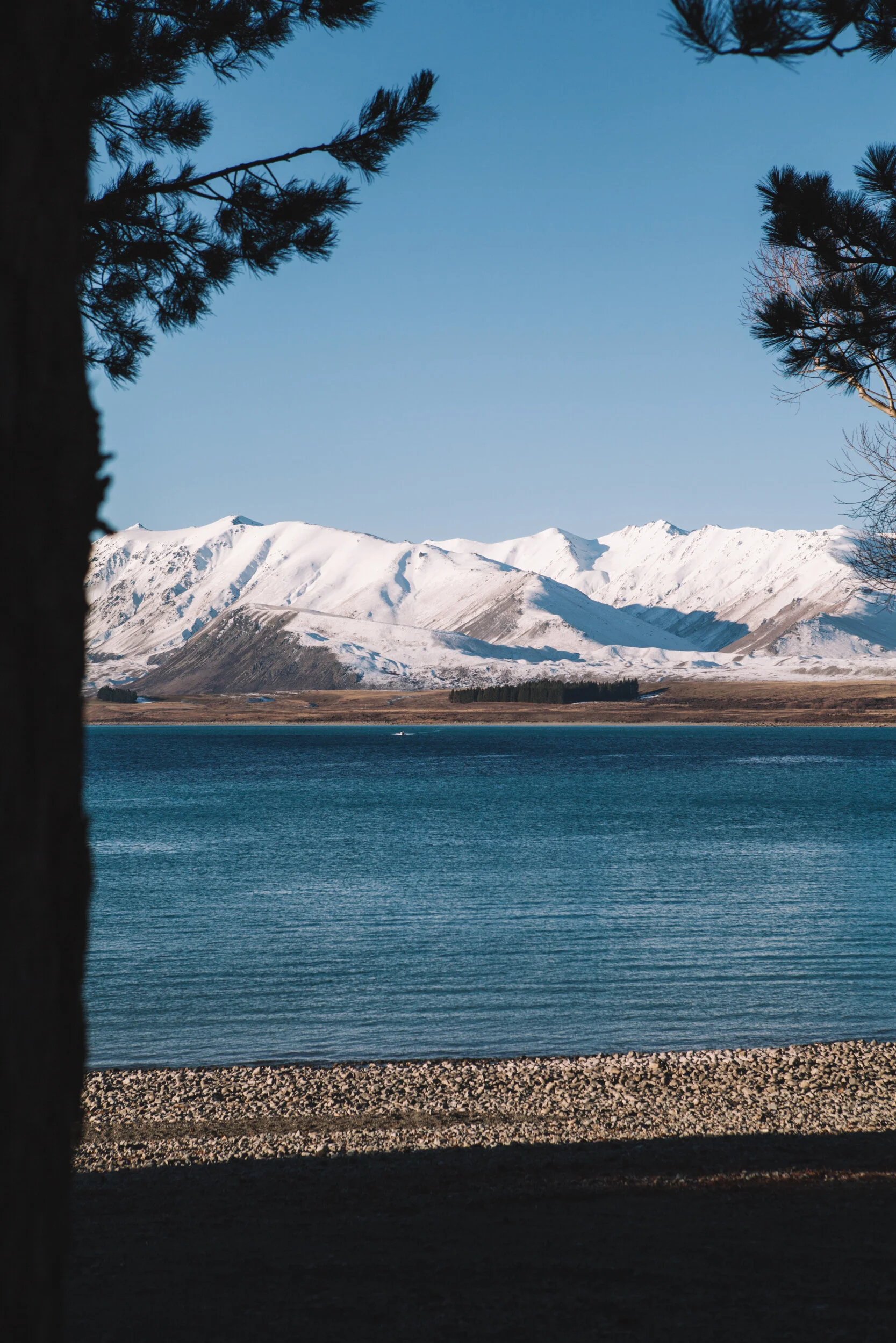 New Zealand-4136.jpg