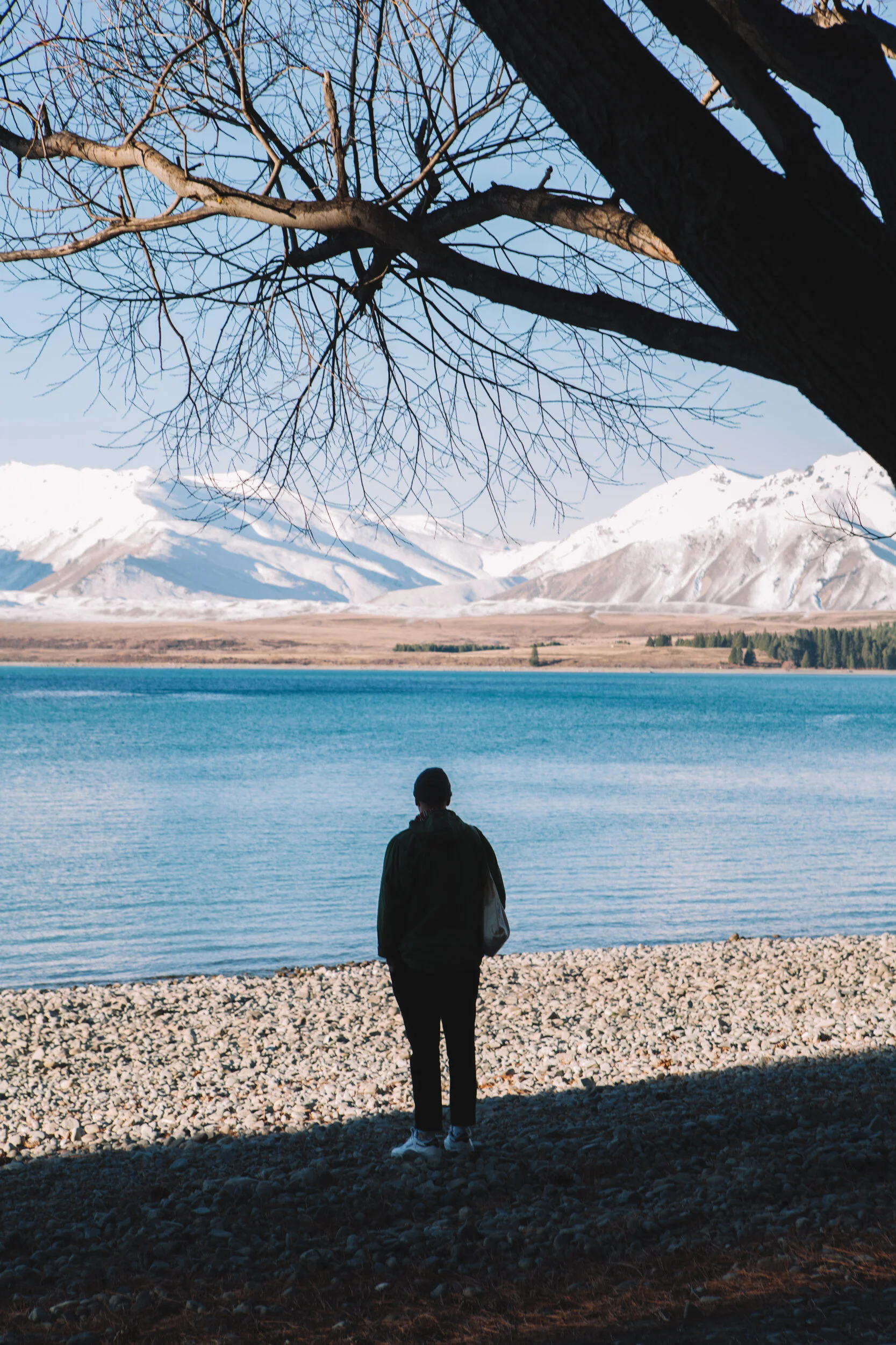 New Zealand-4141.jpg
