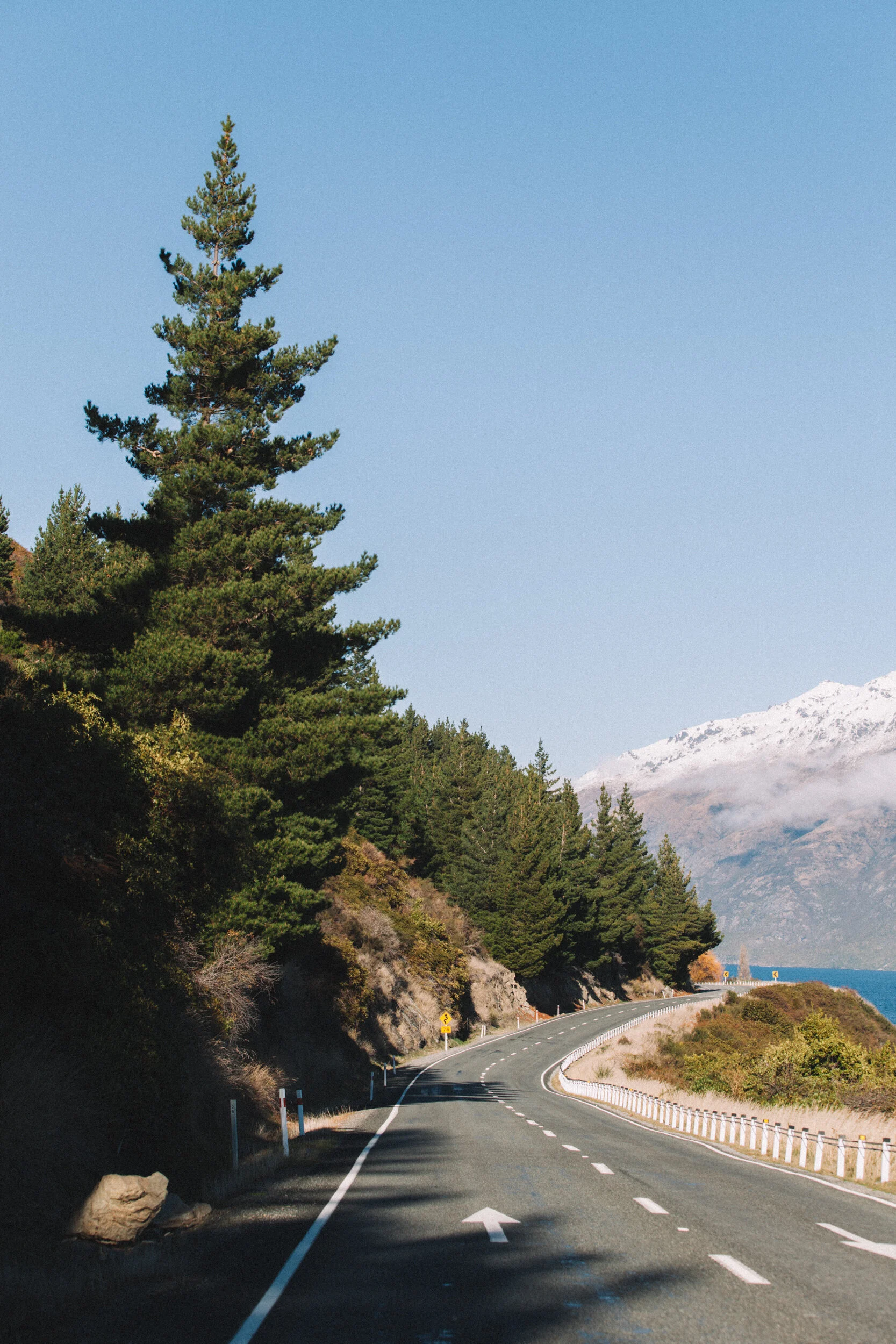 New Zealand-4357.jpg
