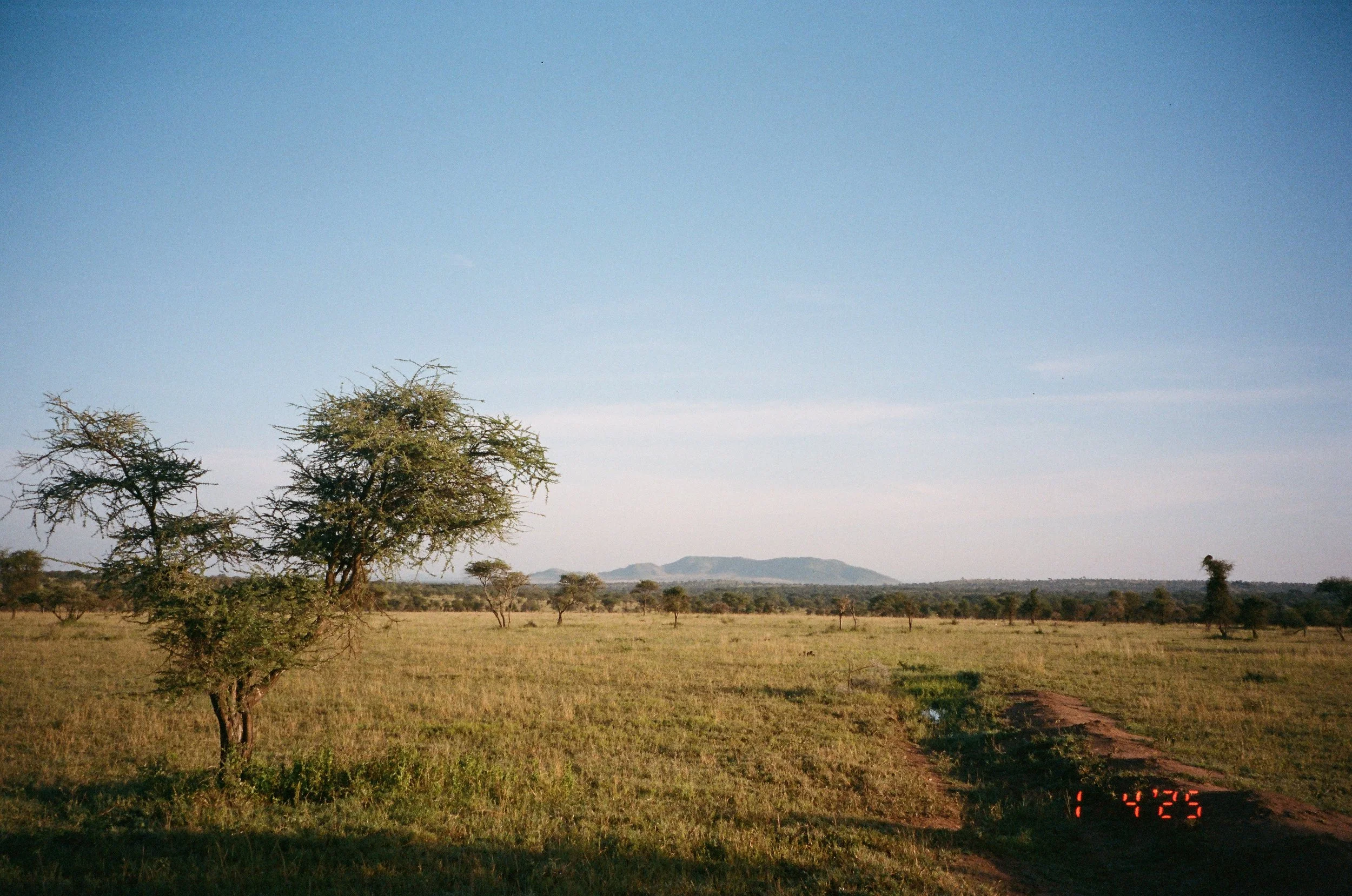 Serengeti-1.jpg