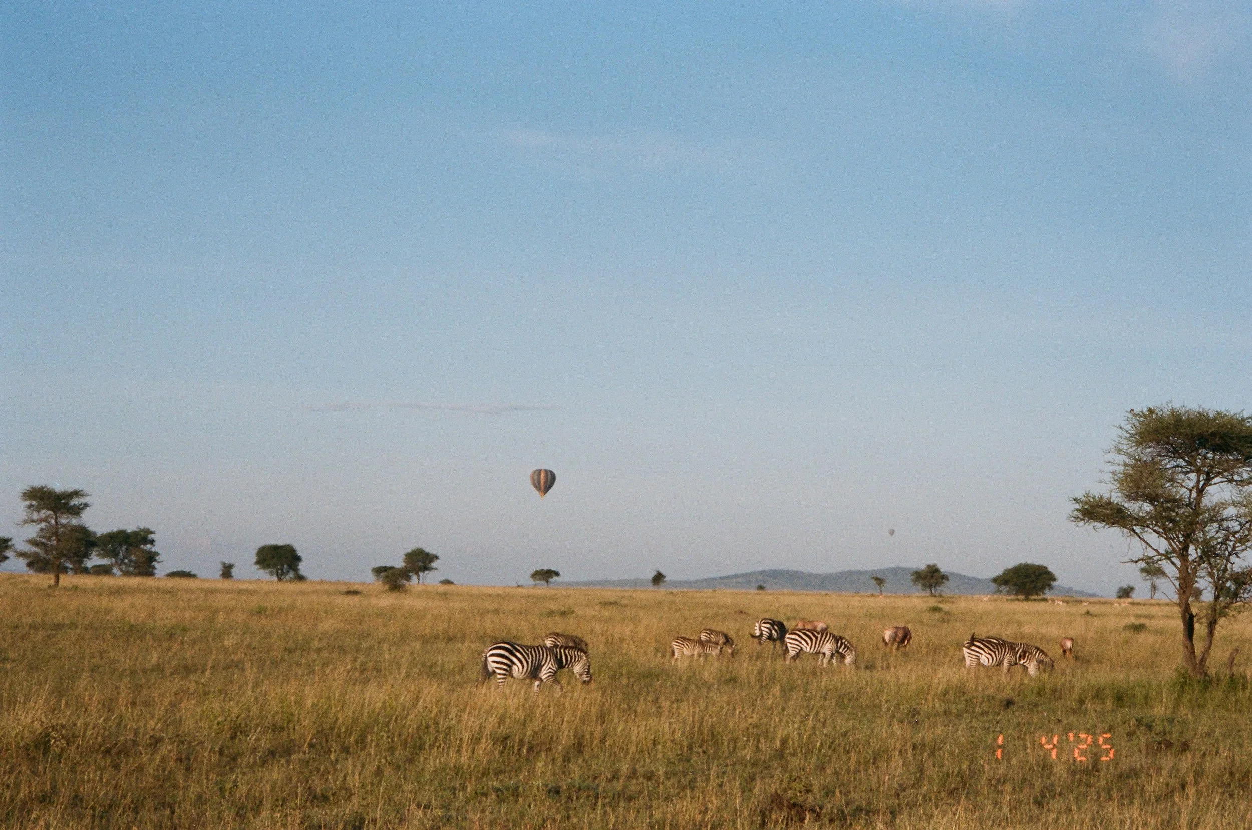 Serengeti-2.jpg