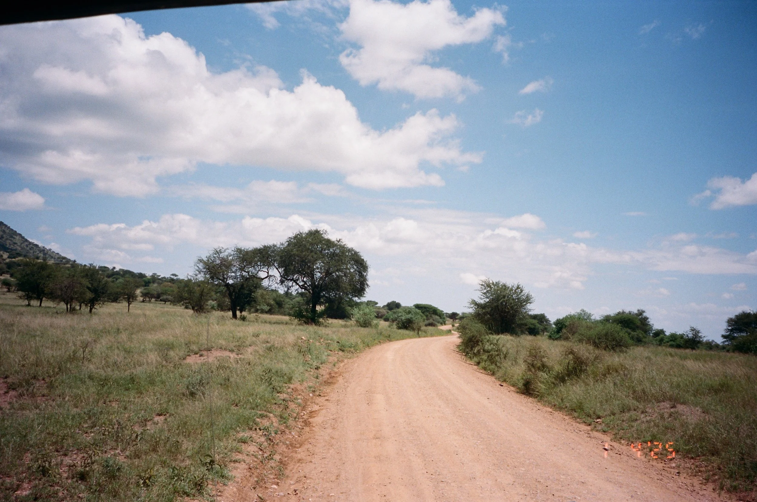 Serengeti-15.jpg