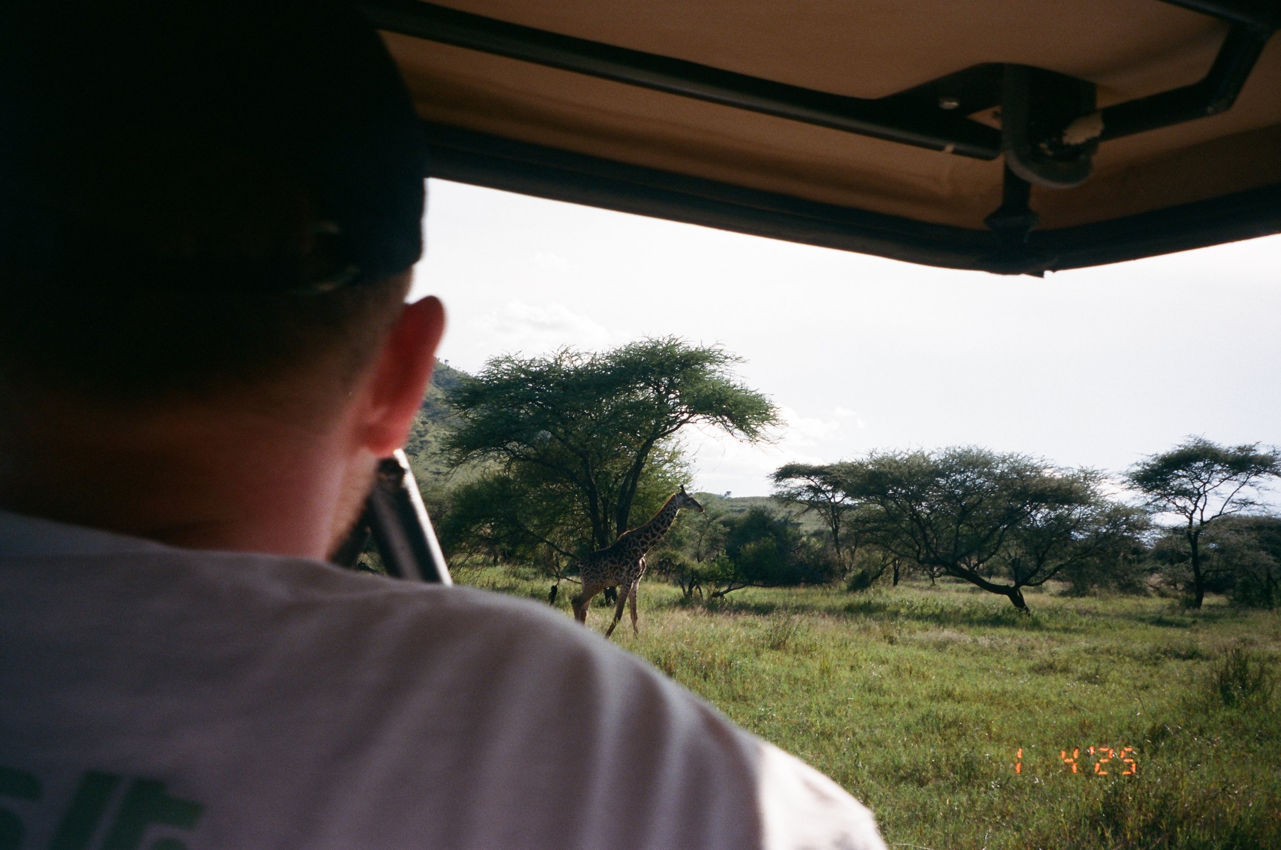 Serengeti-22.jpg