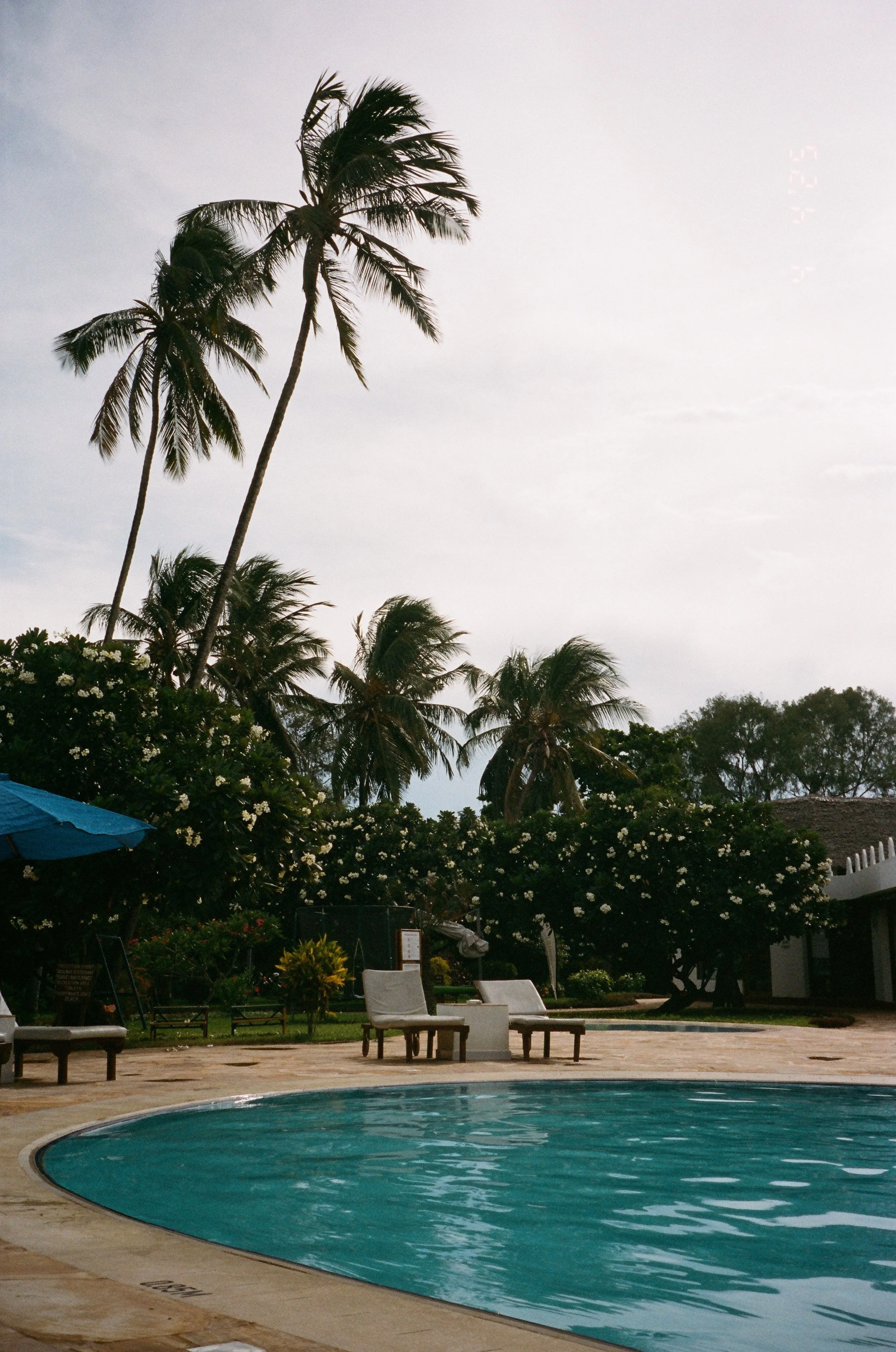 Tanzania-14.jpg