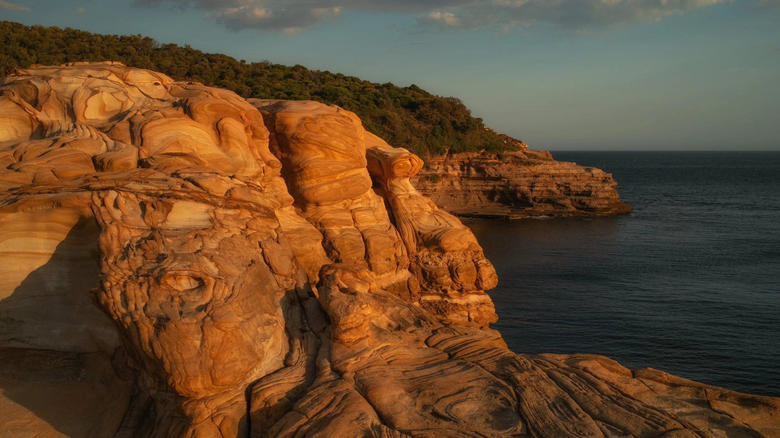 Exploring Bouddi National Park with a camera