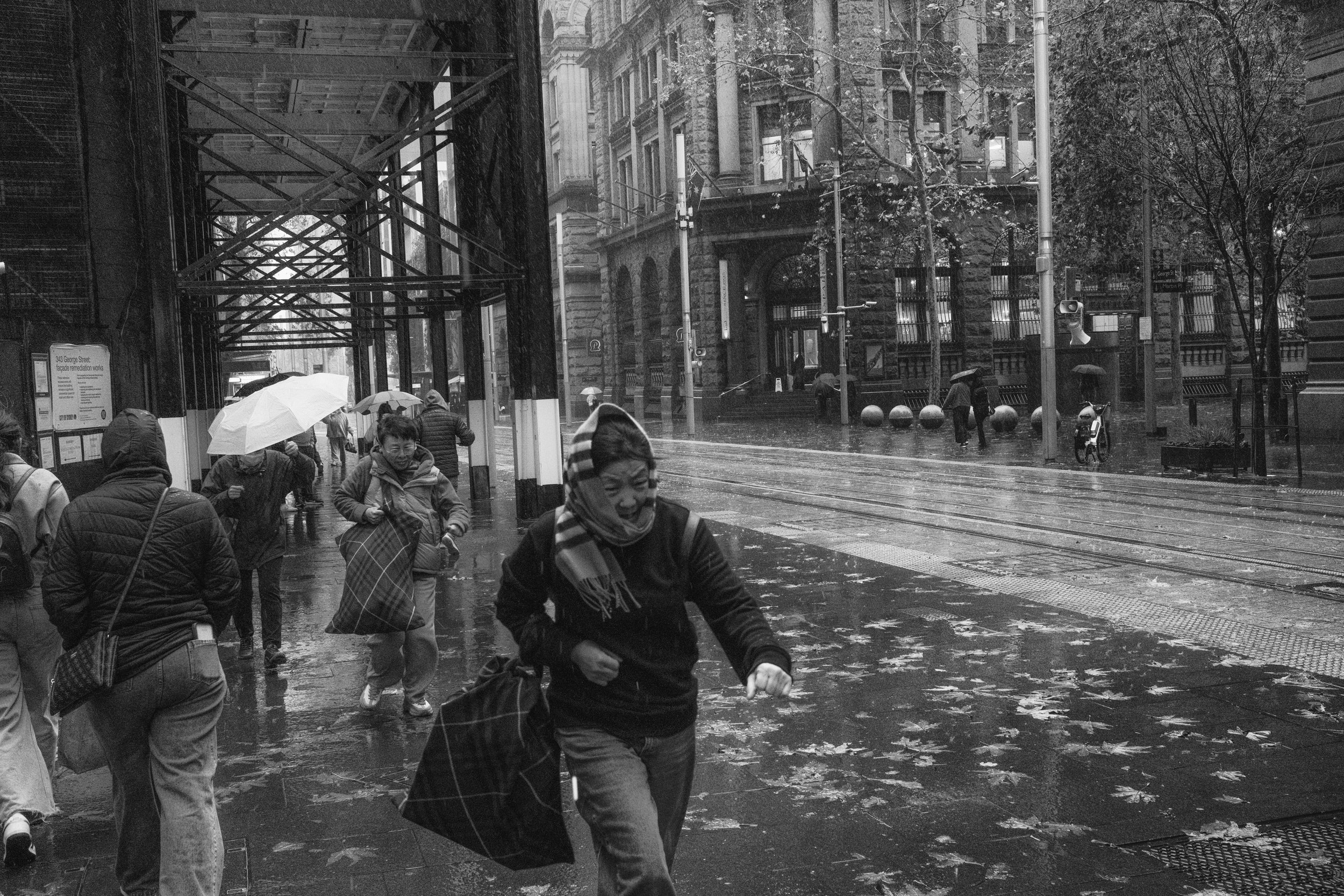 syd-cbd-010725-31.jpg