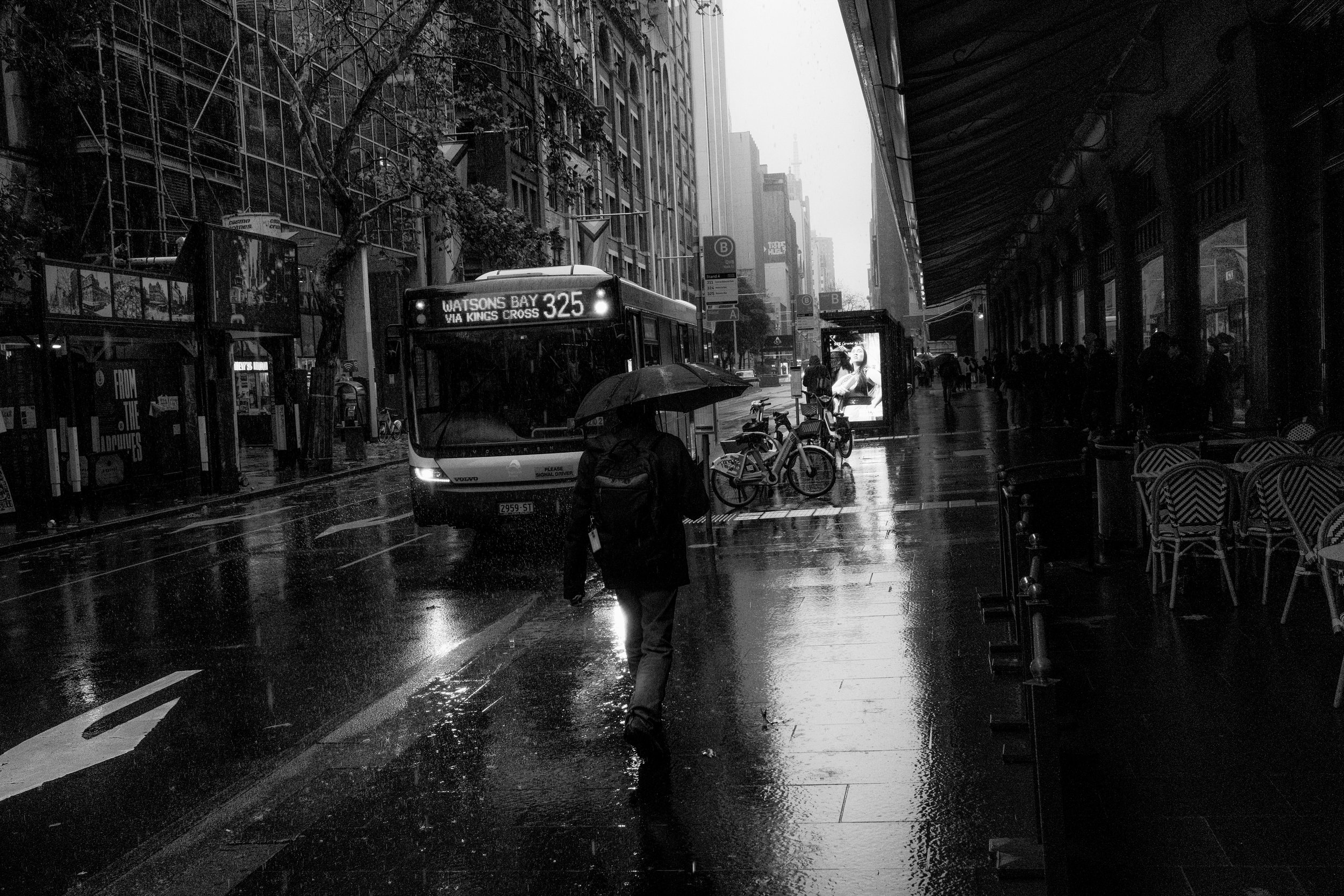 syd-cbd-010725-60.jpg