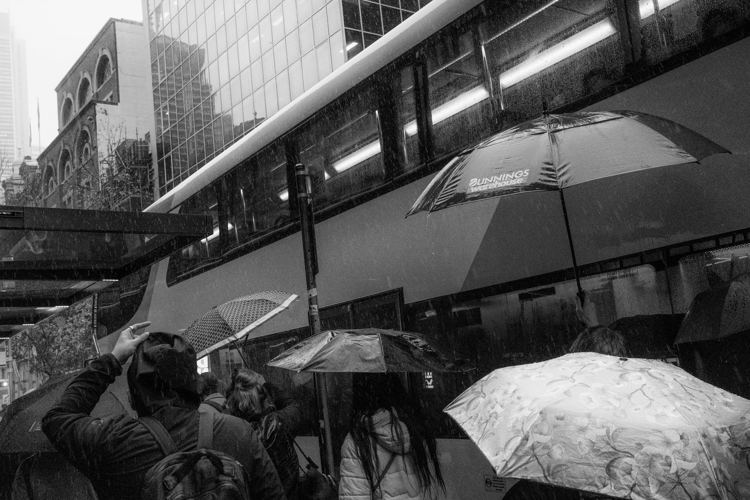 syd-cbd-010725-61.jpg