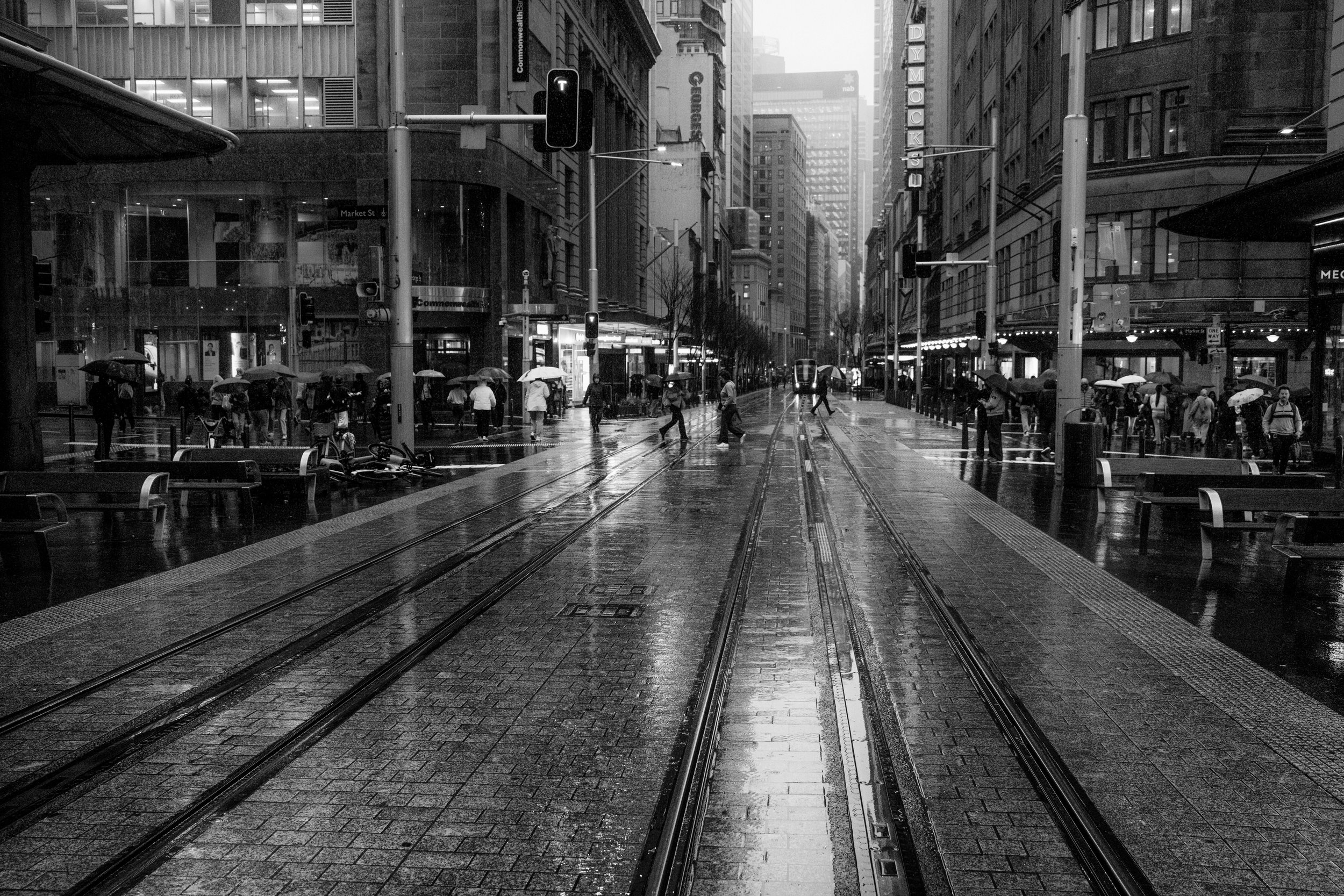 syd-cbd-010725-98.jpg