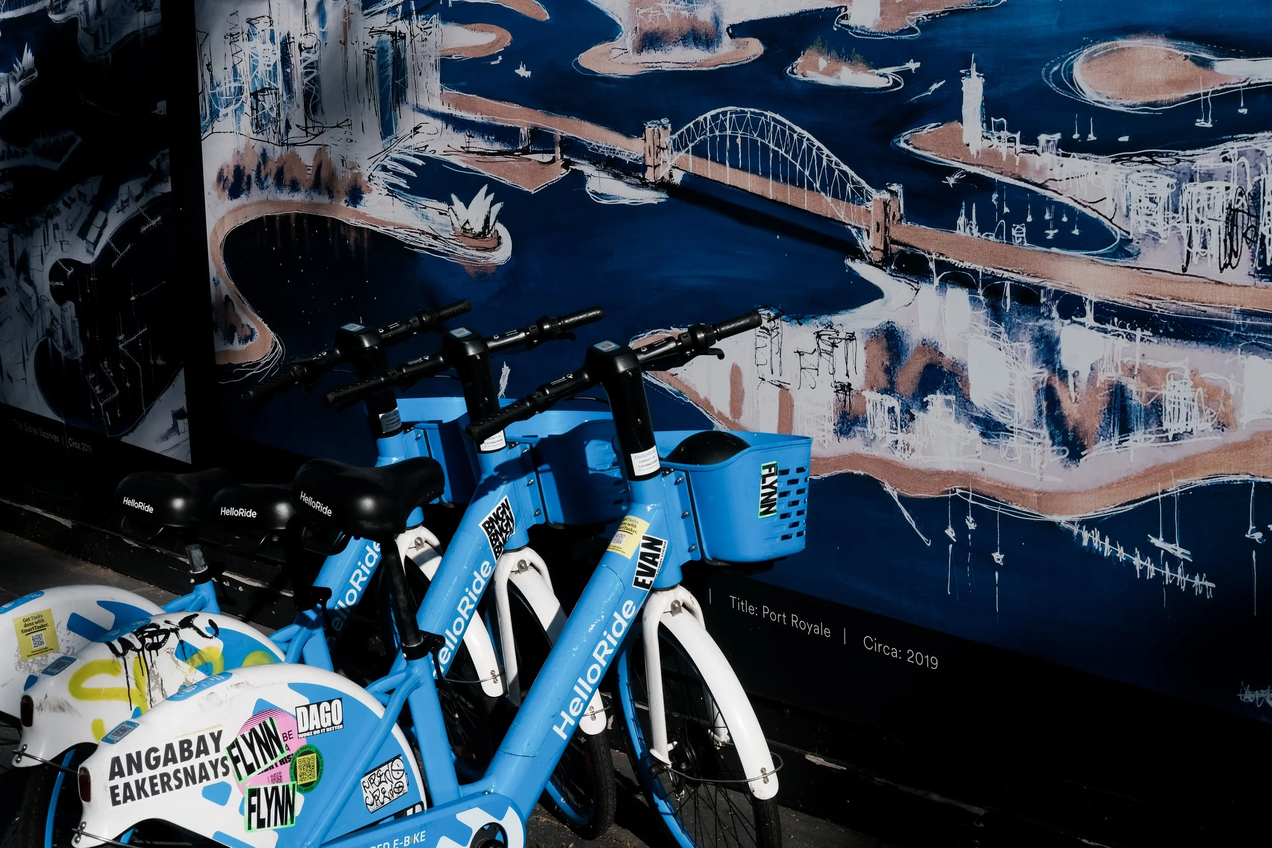 ebike-syd-painting.jpg