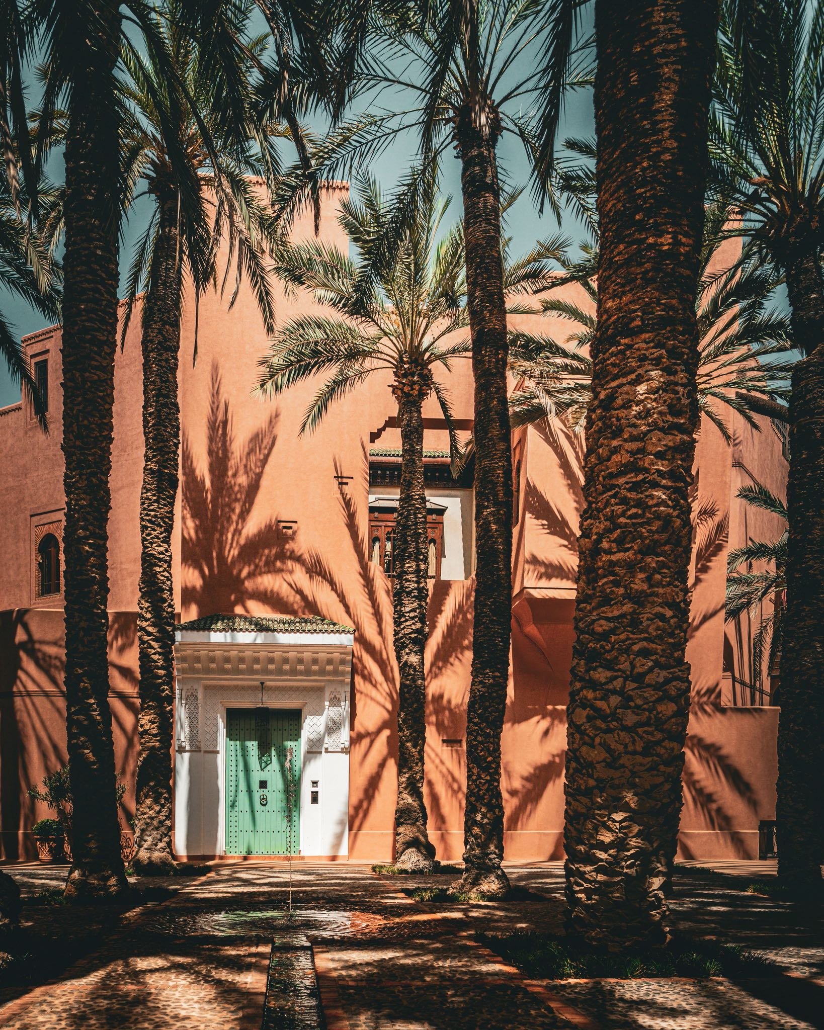 A pink building with a green door, surrounded by tall palm trees casting shadows on the wall.
