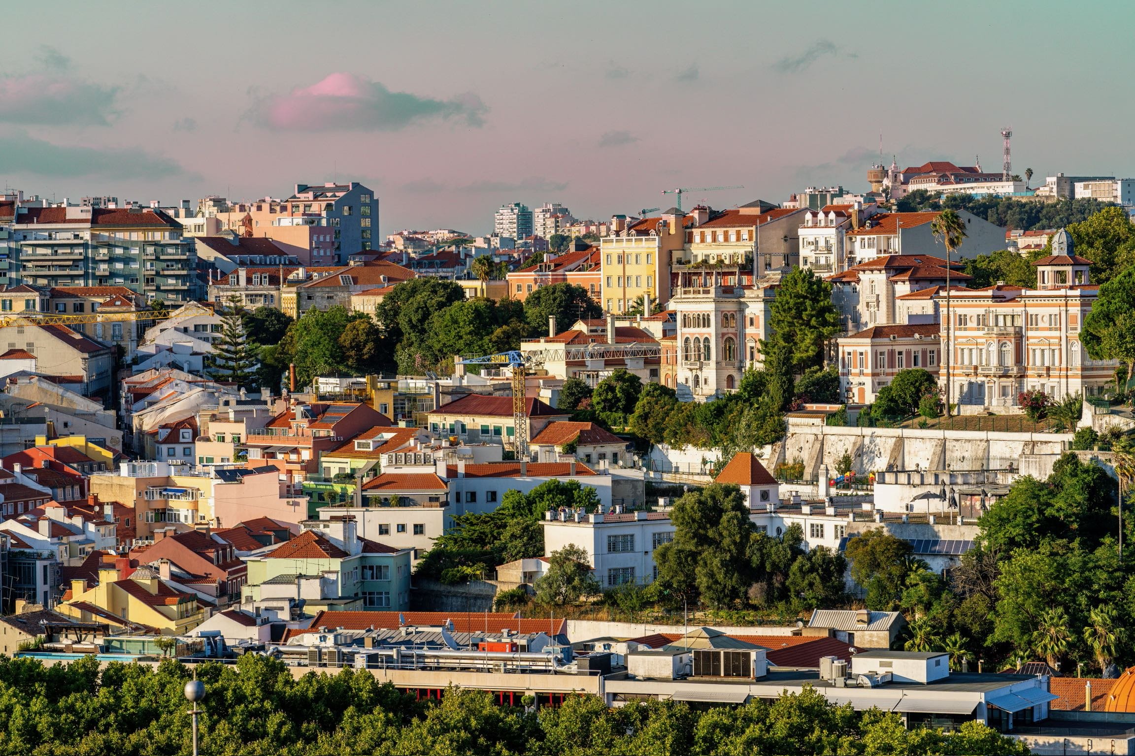 A cityscape of San Francisco featuring a variety of residential buildings, trees, and a clear sky.