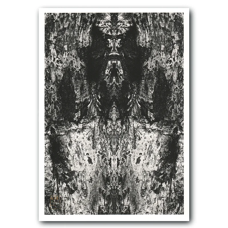 NITOT-113-SQUARE.jpg