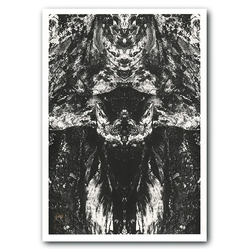 NITOT-114-SQUARE.jpg