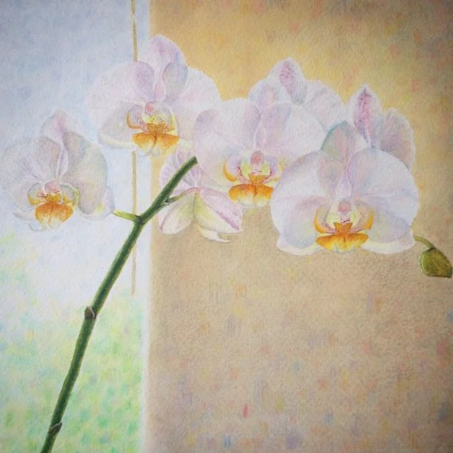 Orchids Before the Window, watercolour and pencil crayon