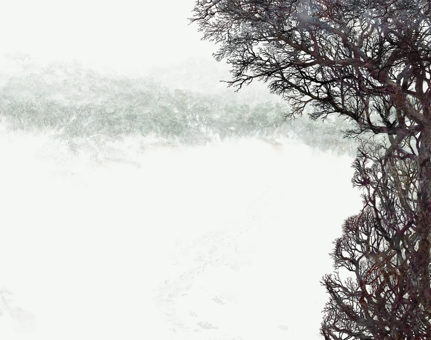 Midwinter Hedge