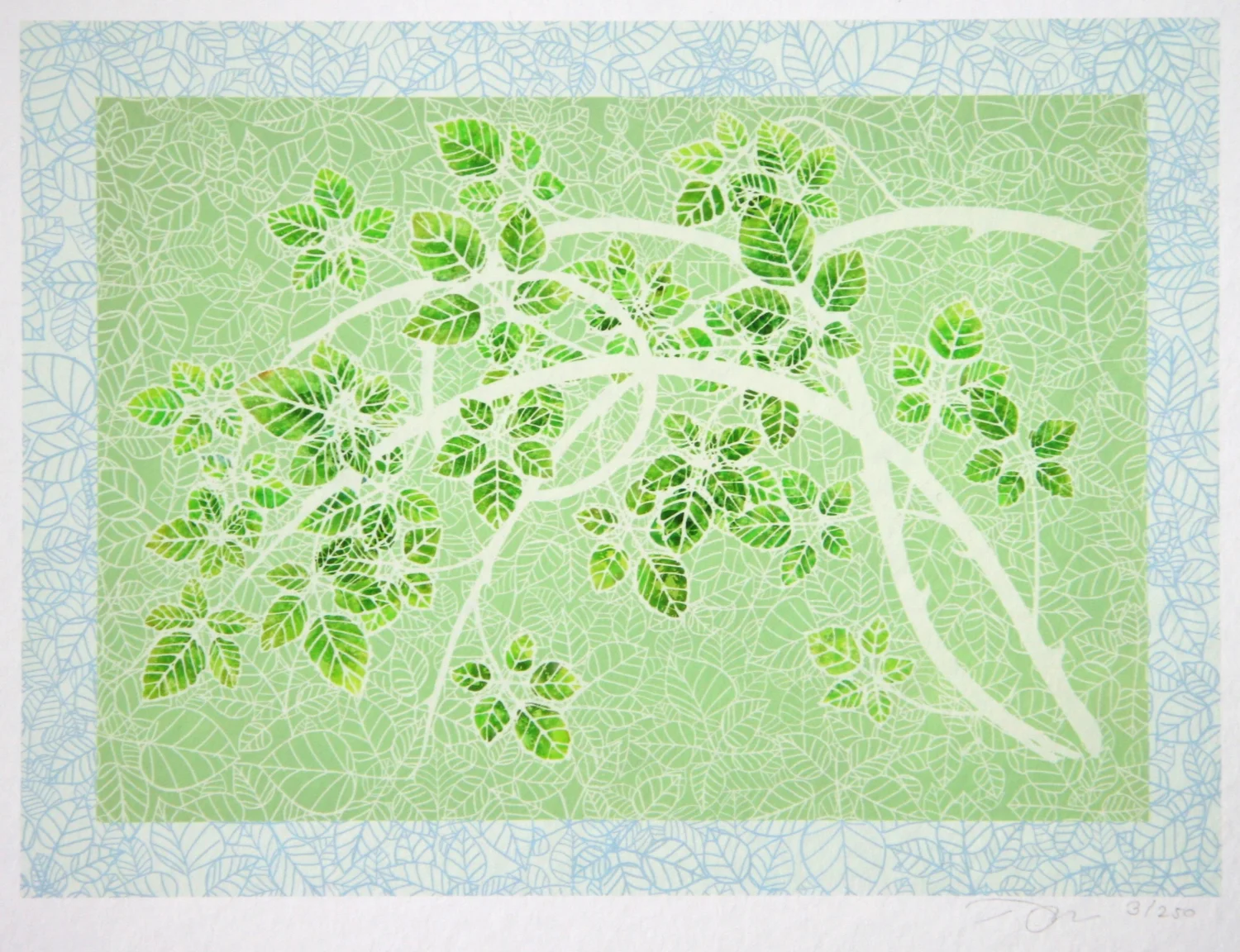 Lace Brambles
